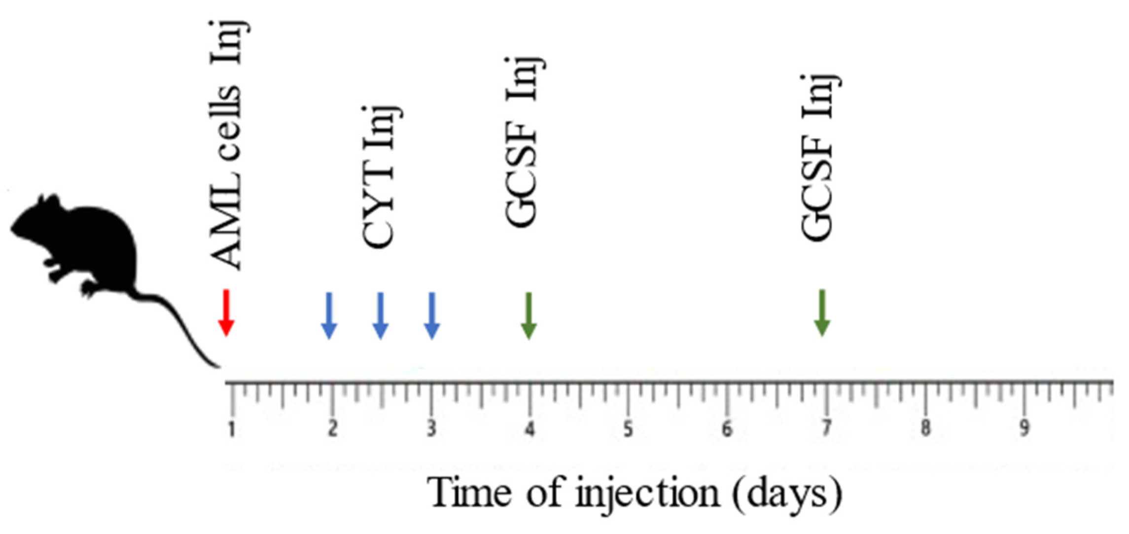 Ijms 24 12229 sch001