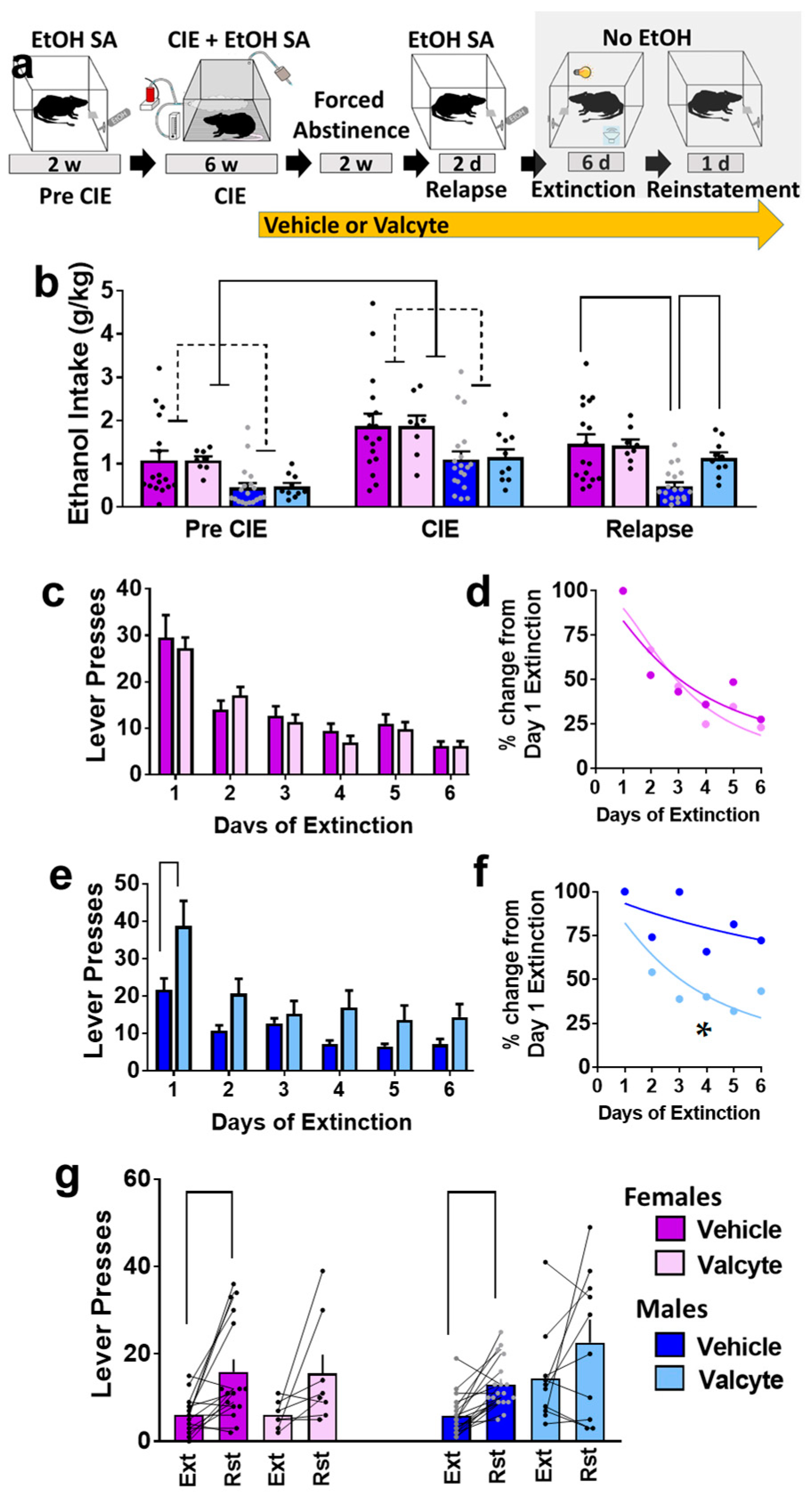 Ijms 24 12233 g001 Ijms 24 12233 g001