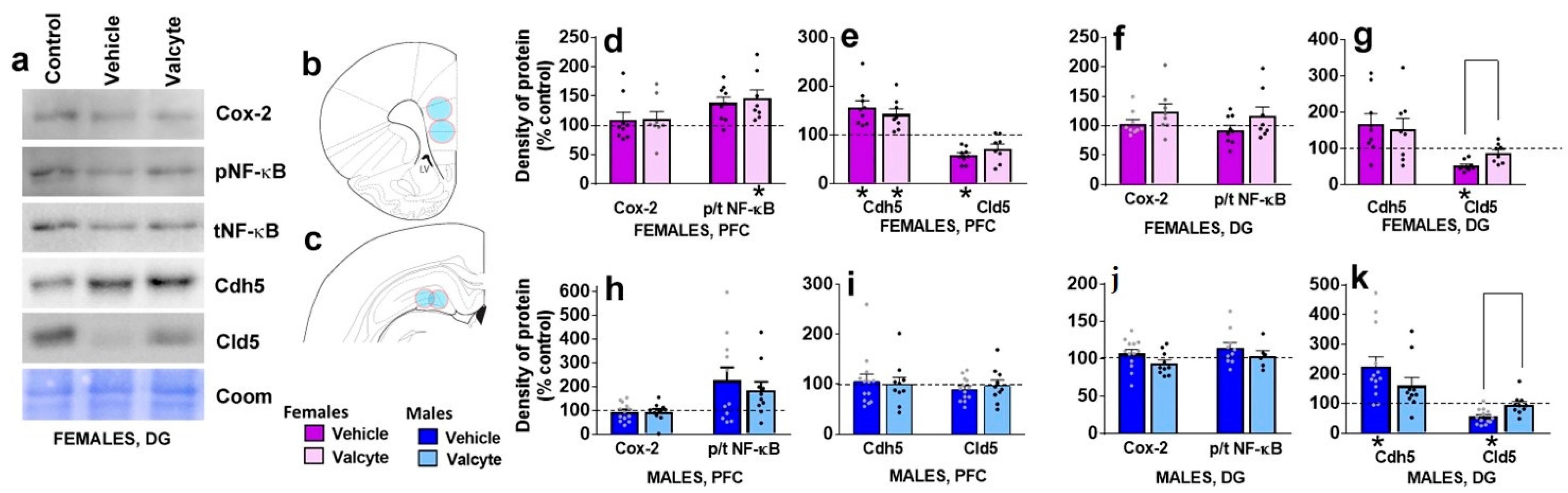 Ijms 24 12233 g004 Ijms 24 12233 g004