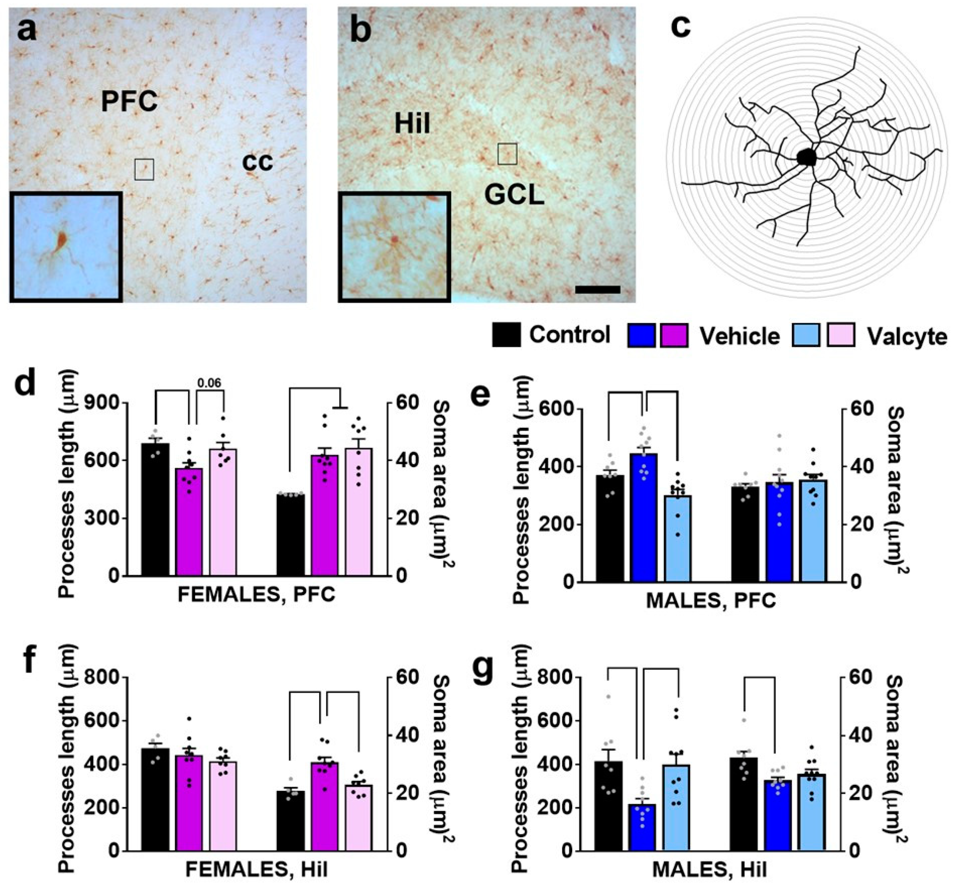 Ijms 24 12233 g005 Ijms 24 12233 g005