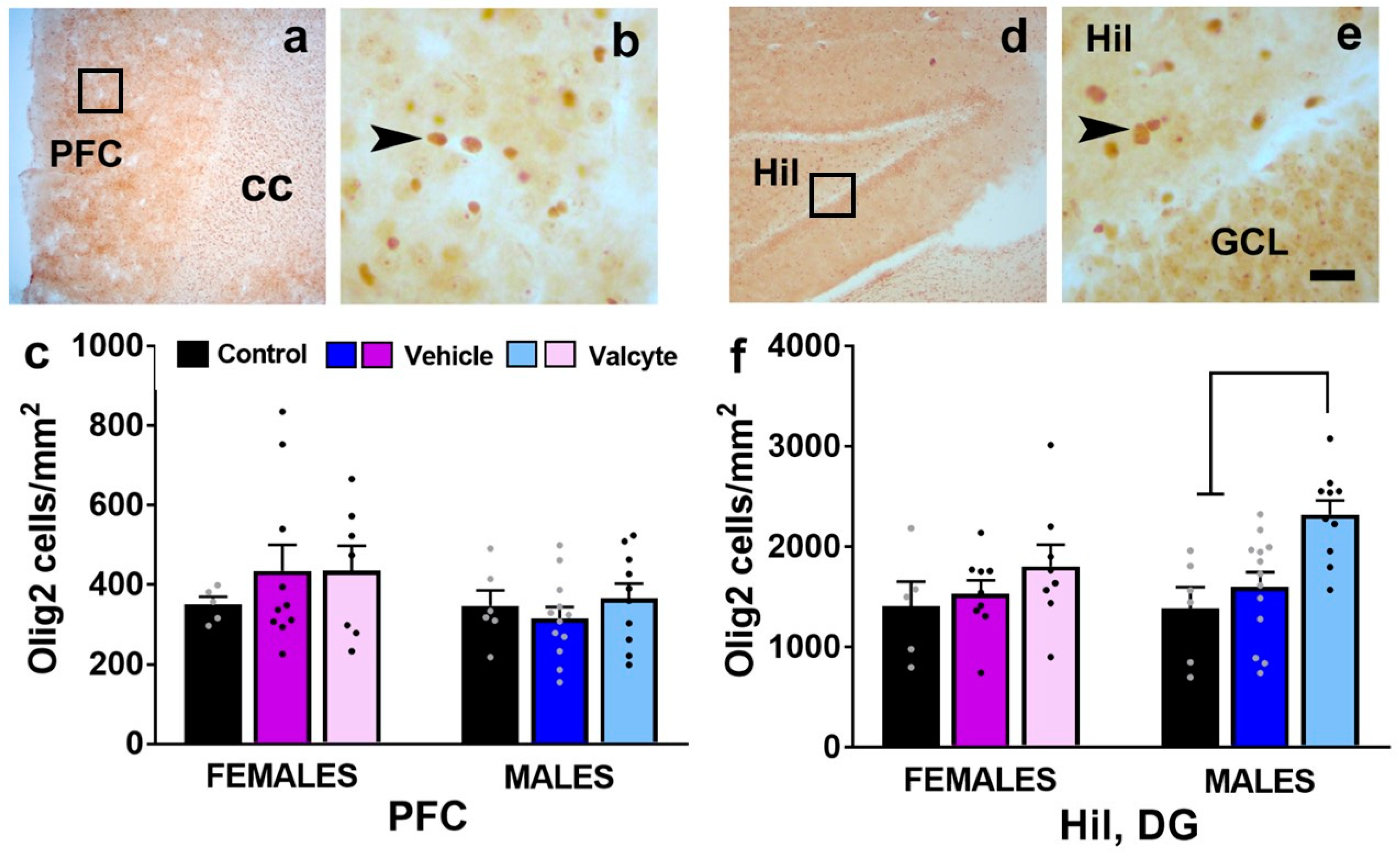 Ijms 24 12233 g006 Ijms 24 12233 g006
