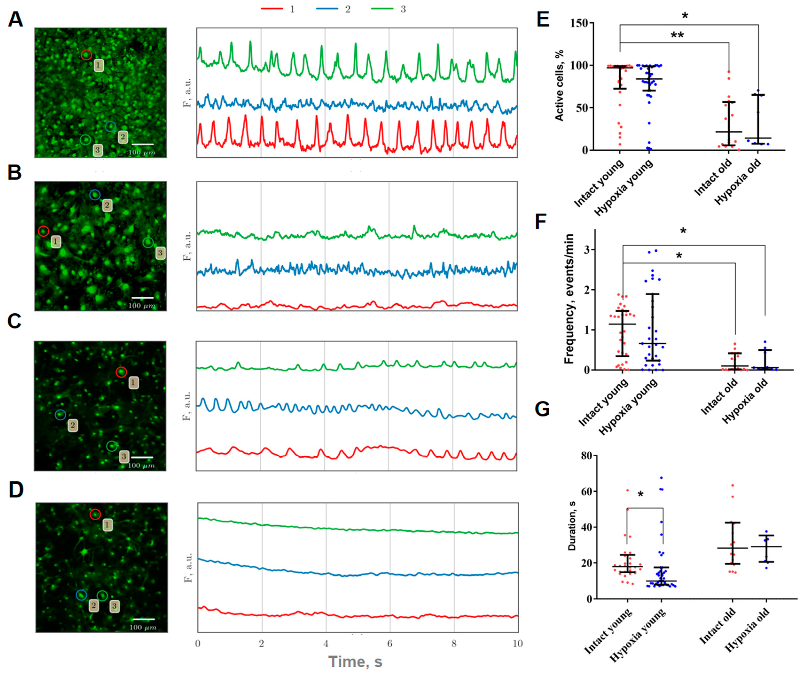 Ijms 24 12286 g001 Ijms 24 12286 g001