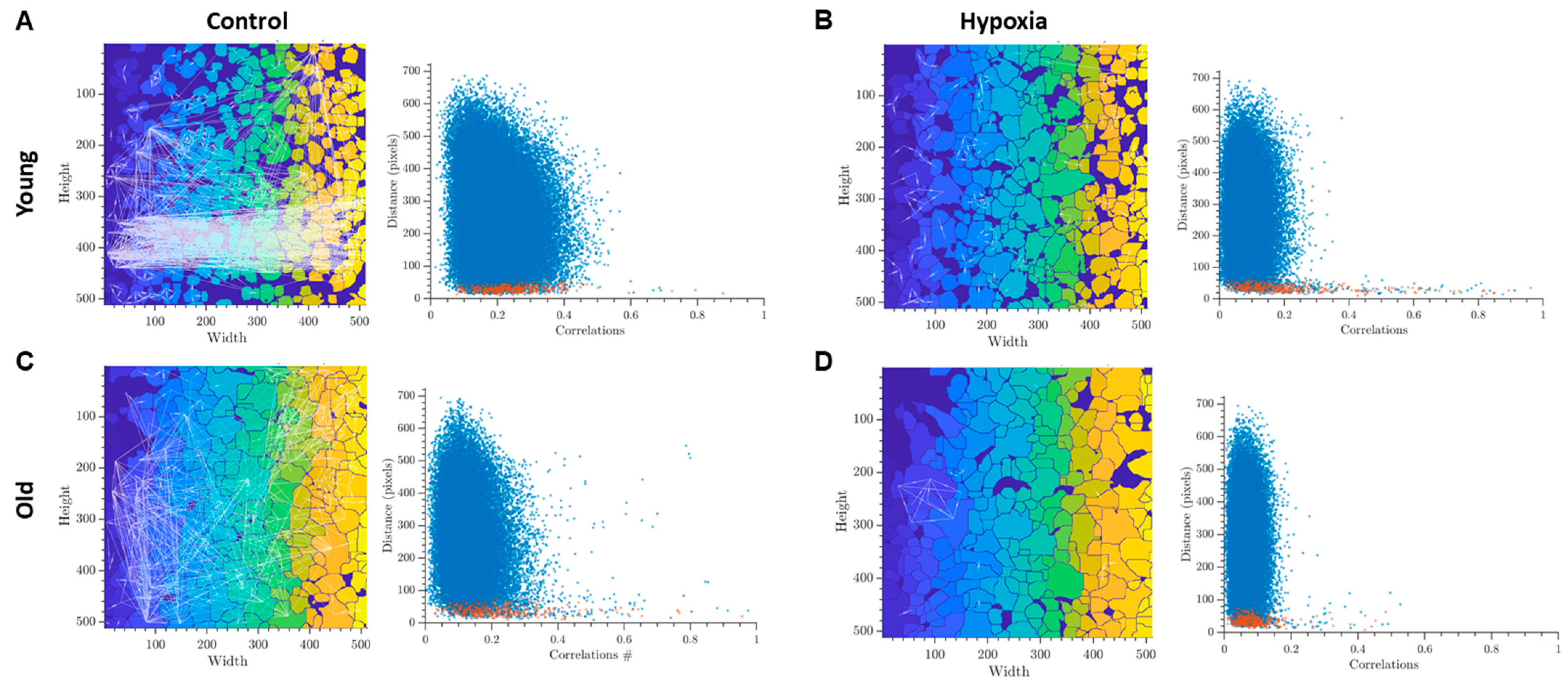 Ijms 24 12286 g002 Ijms 24 12286 g002