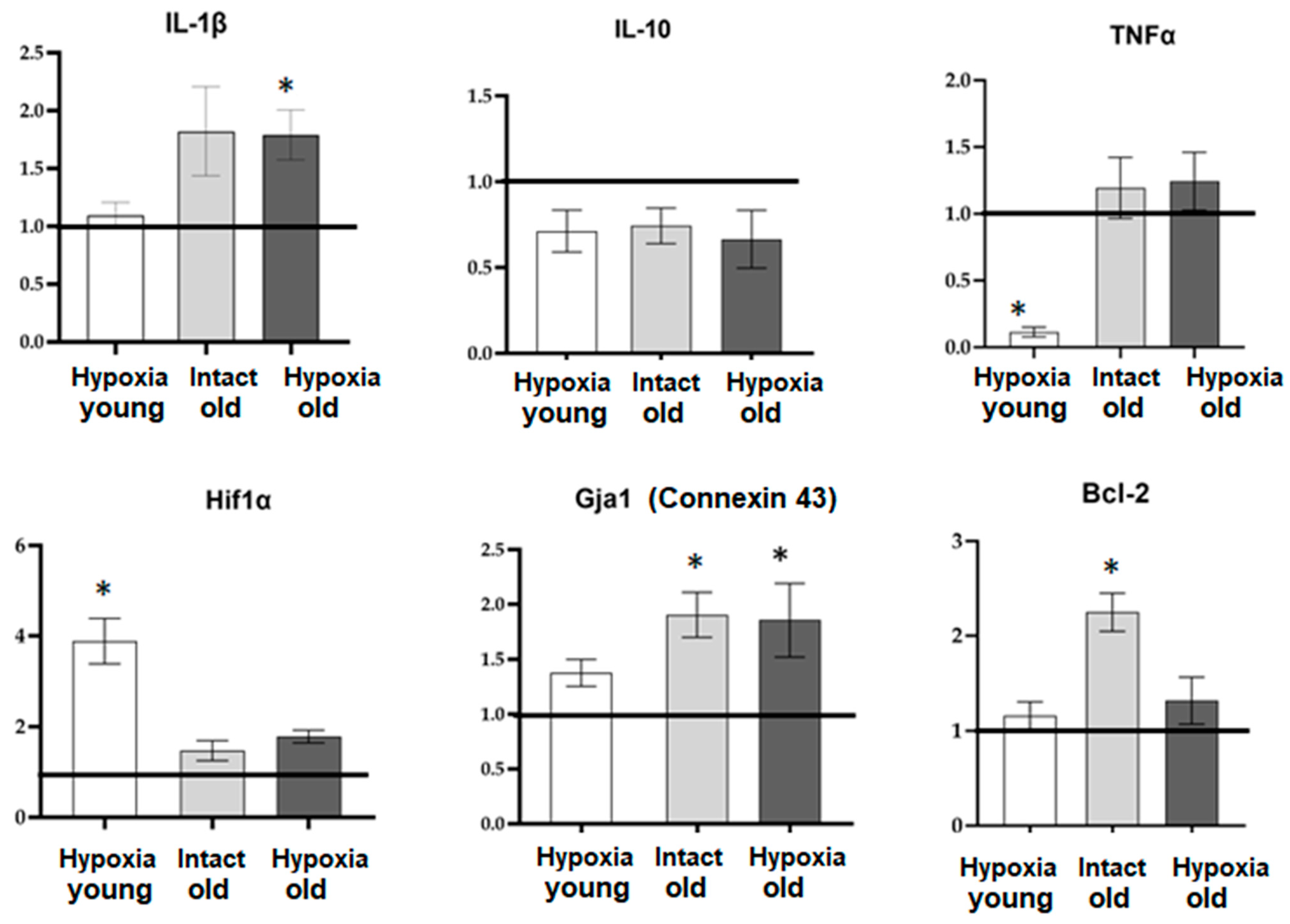 Ijms 24 12286 g007 Ijms 24 12286 g007