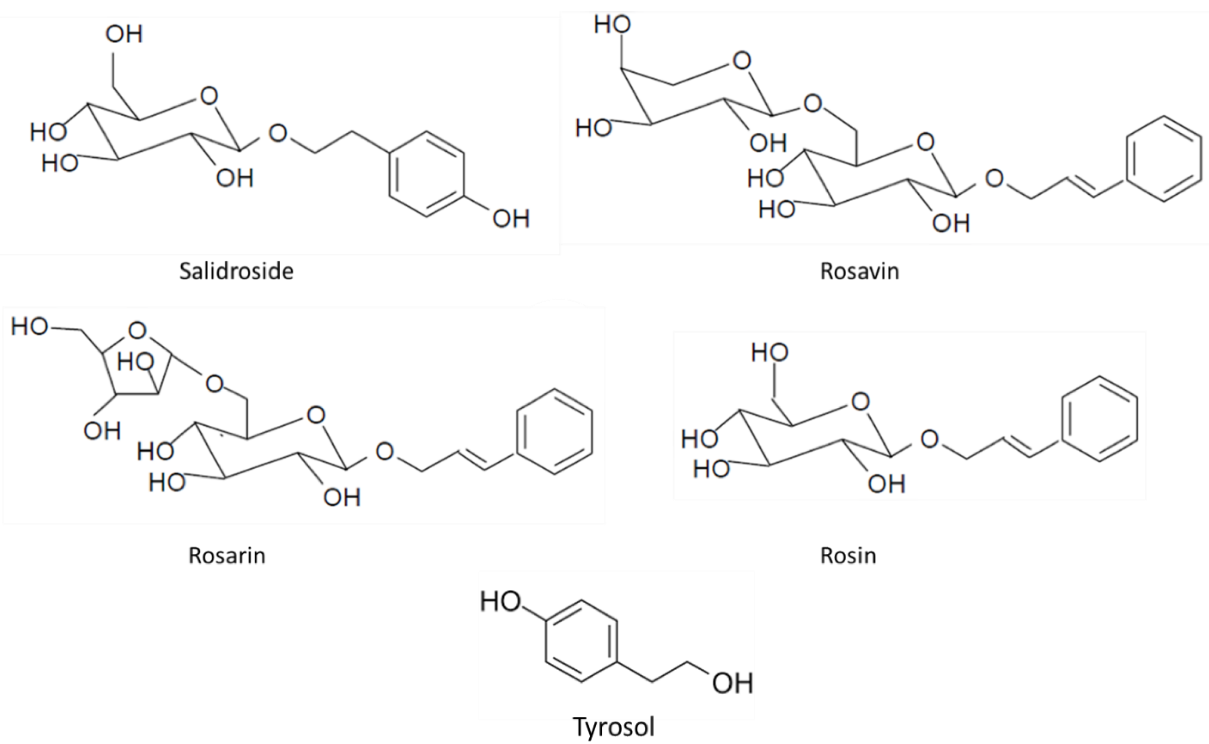 Ijms 24 12293 g002 Ijms 24 12293 g002