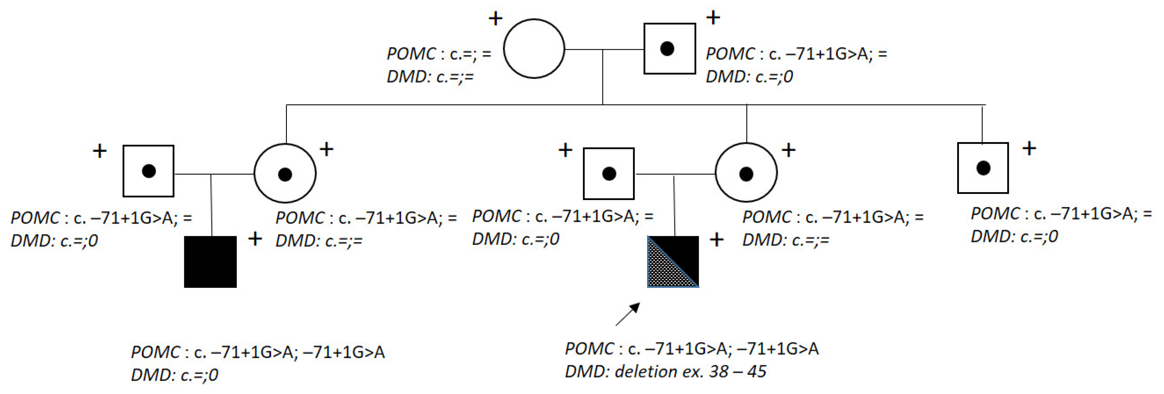 Ijms 24 12357 g001 Ijms 24 12357 g001