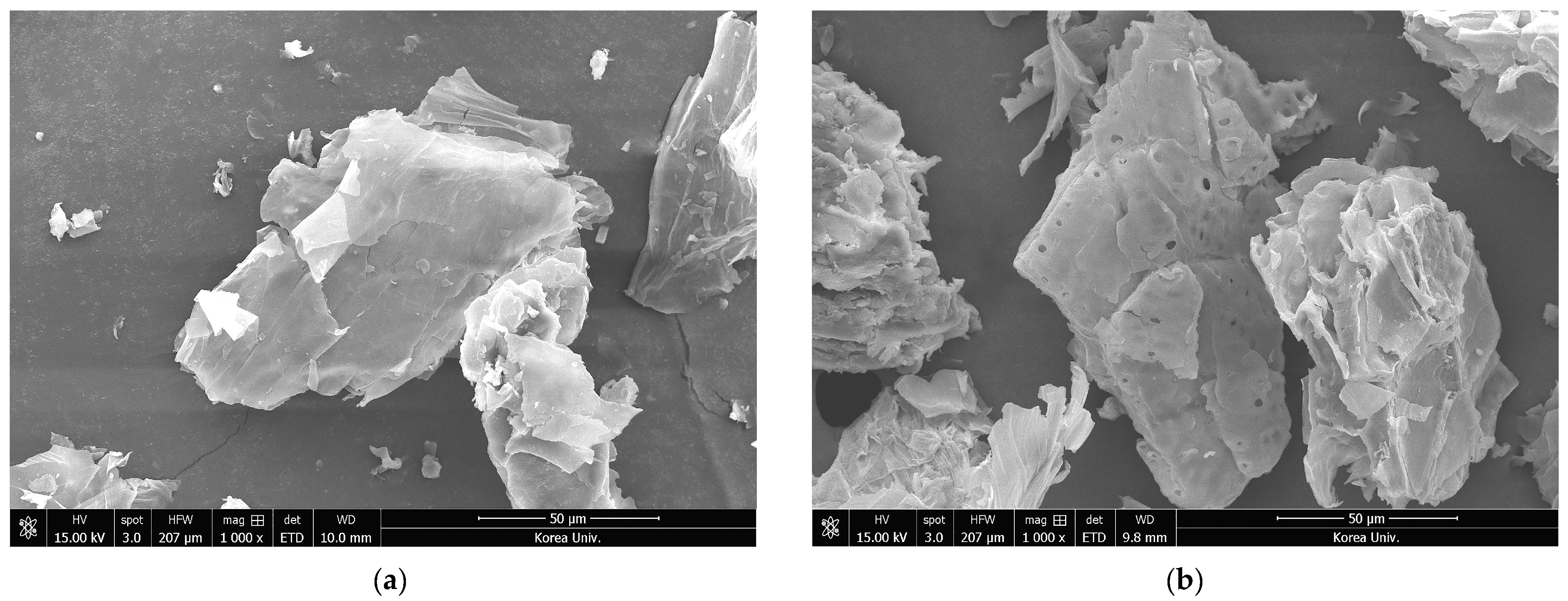 Ijms 24 12366 g004 Ijms 24 12366 g004