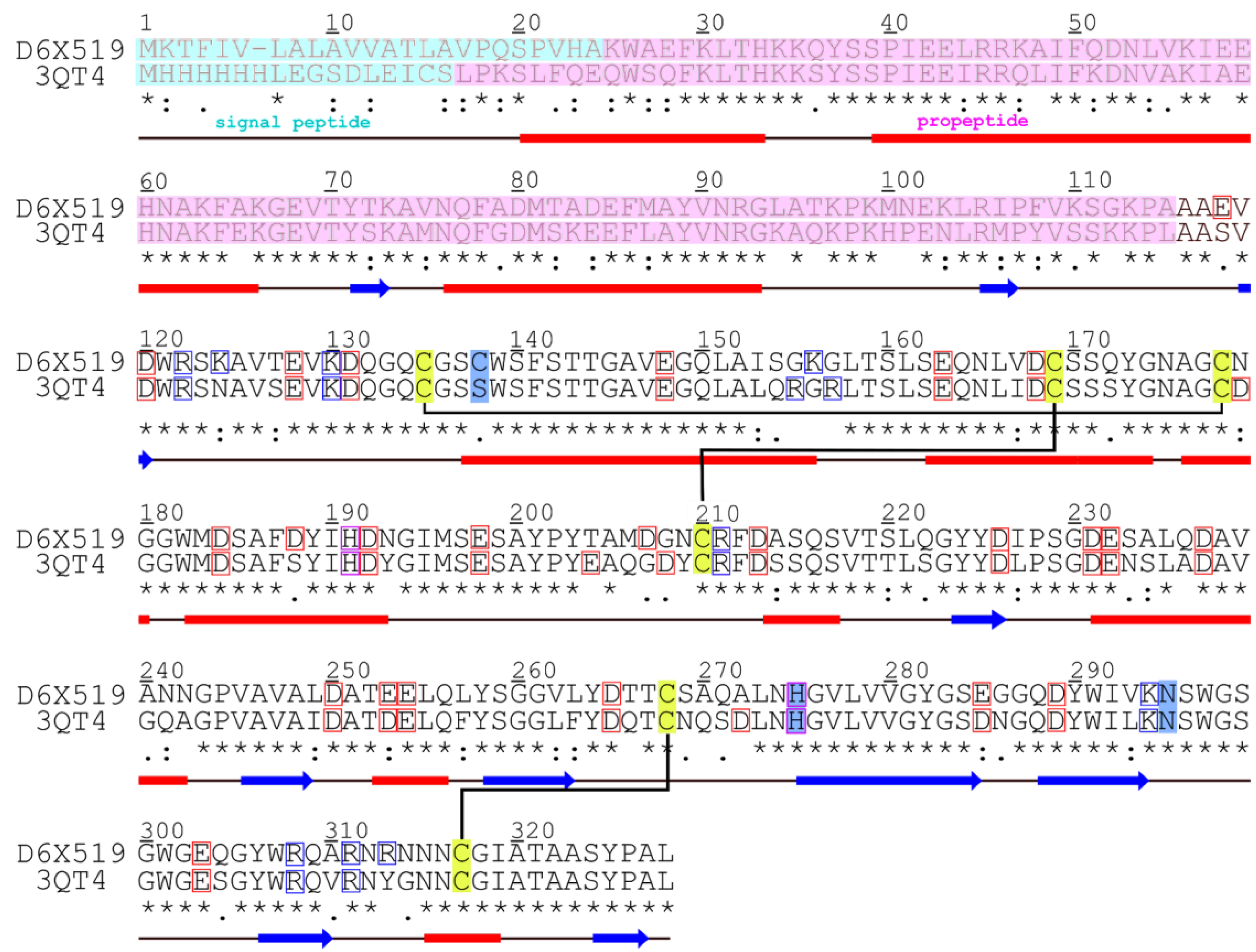 Ijms 24 12369 g001 Ijms 24 12369 g001