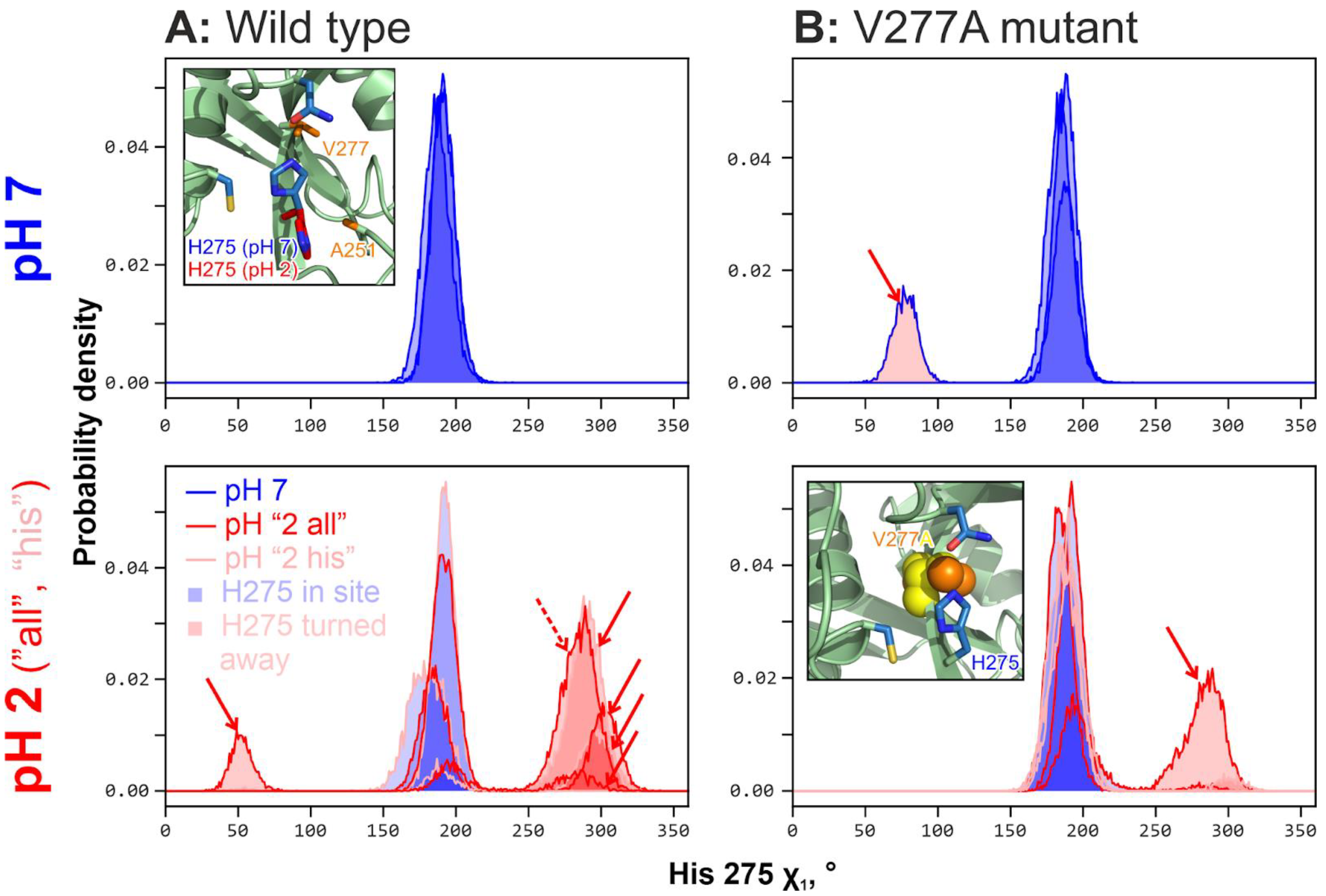 Ijms 24 12369 g003 Ijms 24 12369 g003