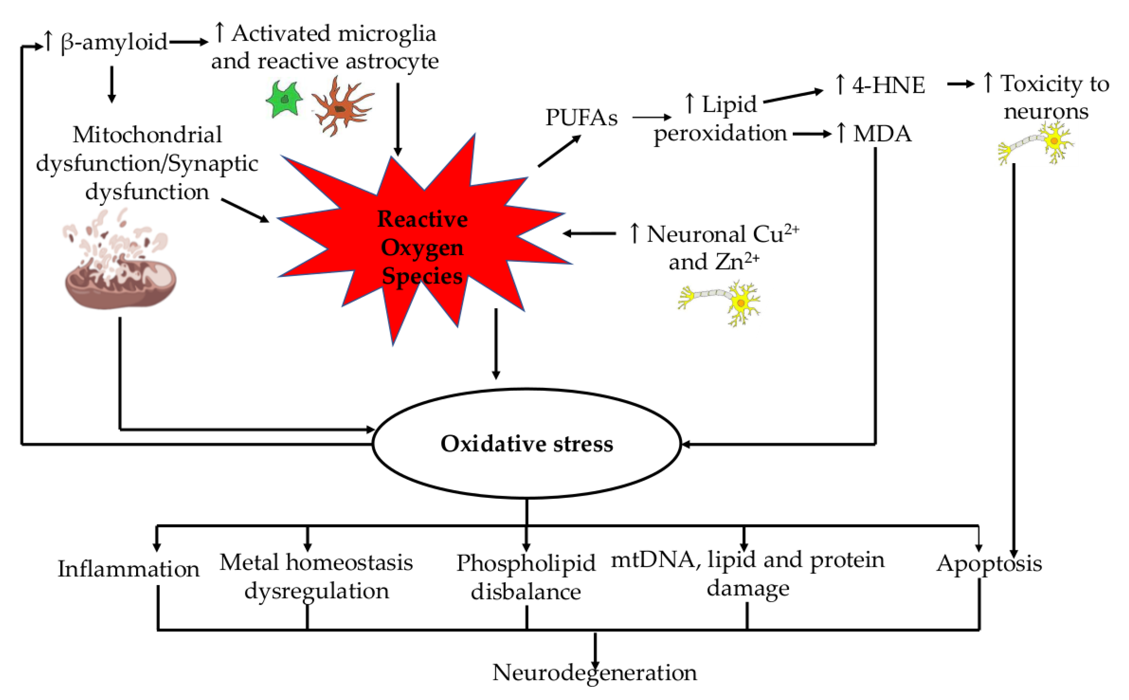 Ijms 24 12372 g001 Ijms 24 12372 g001