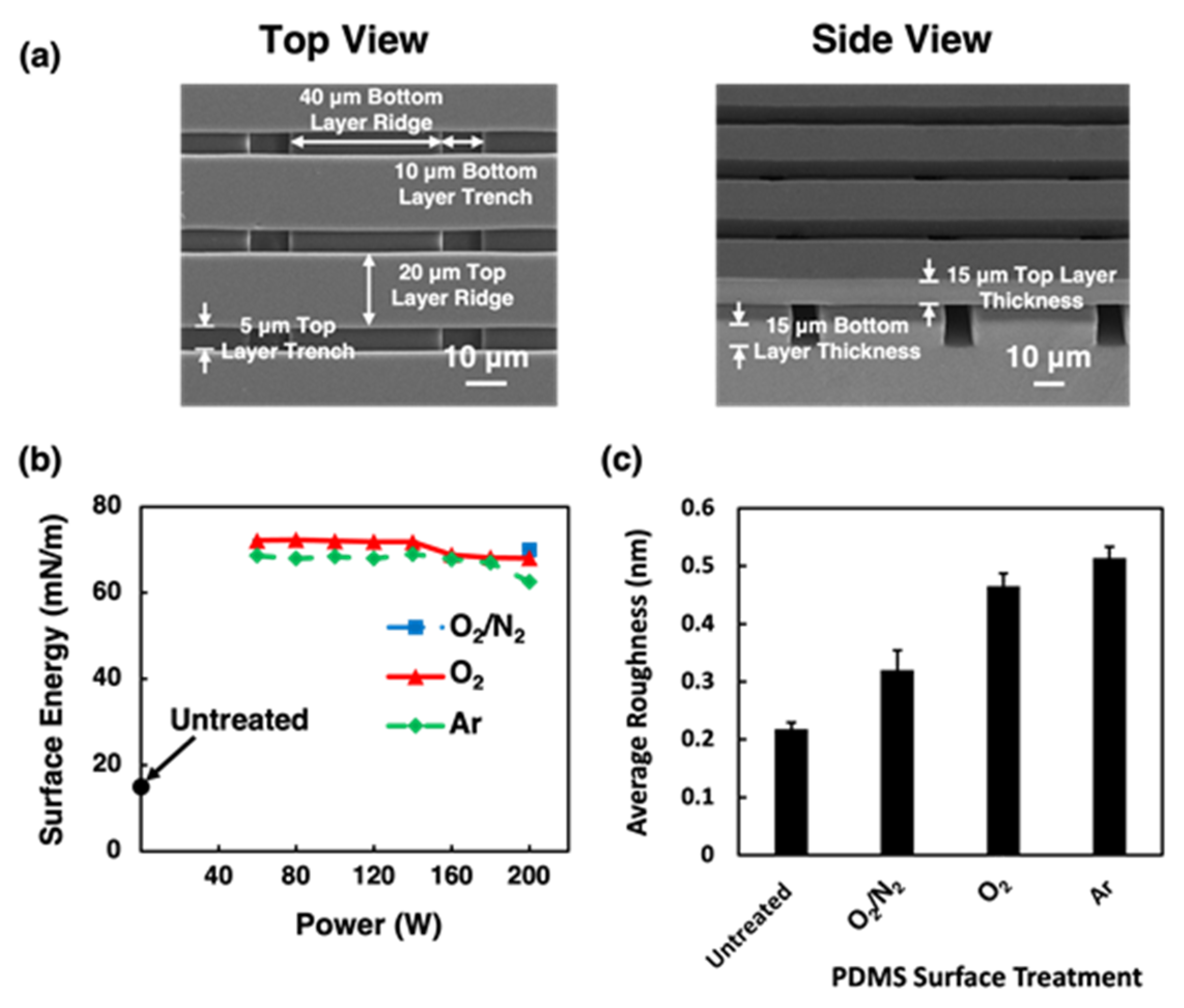 Ijms 24 12409 g001 Ijms 24 12409 g001