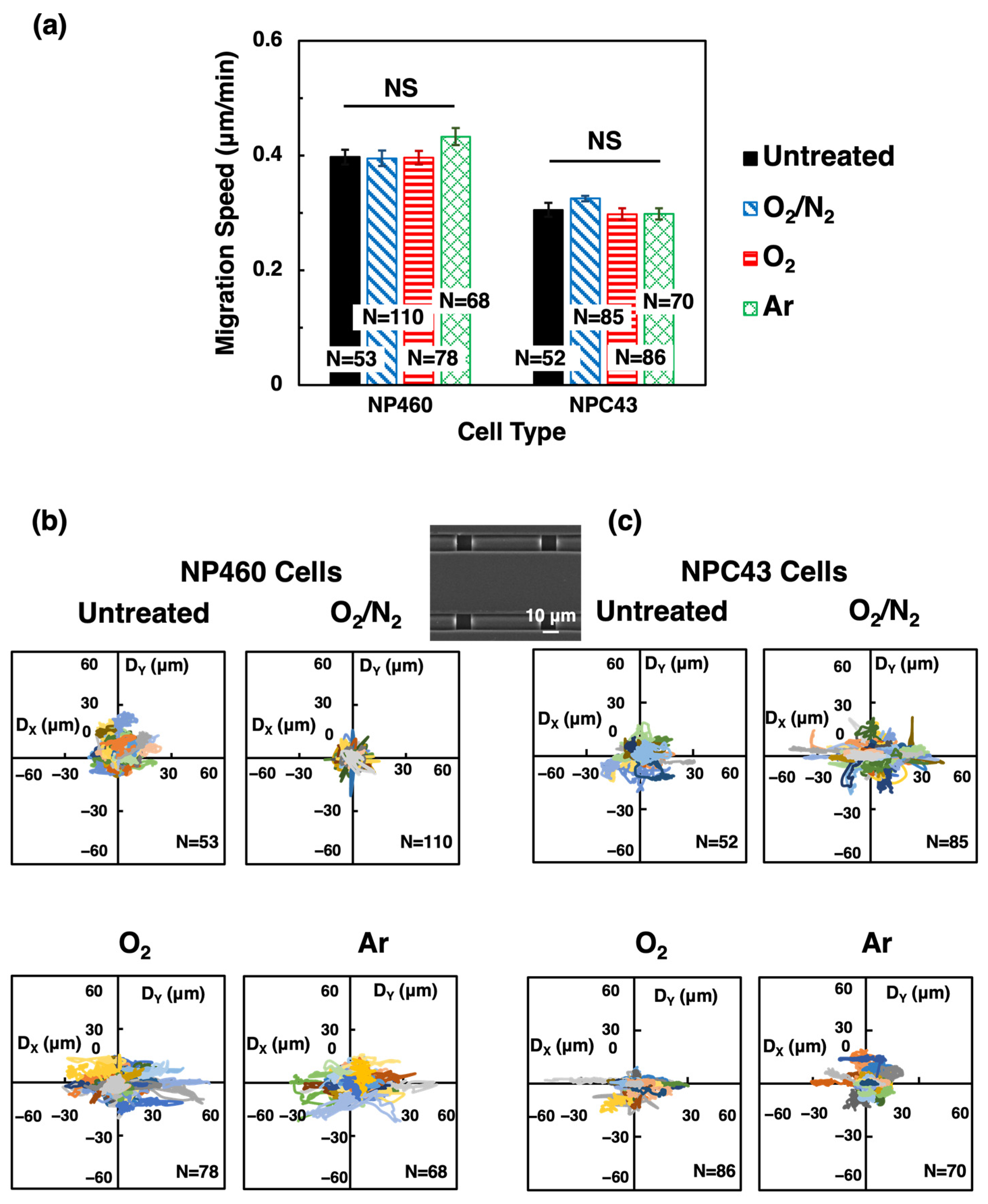 Ijms 24 12409 g002 Ijms 24 12409 g002