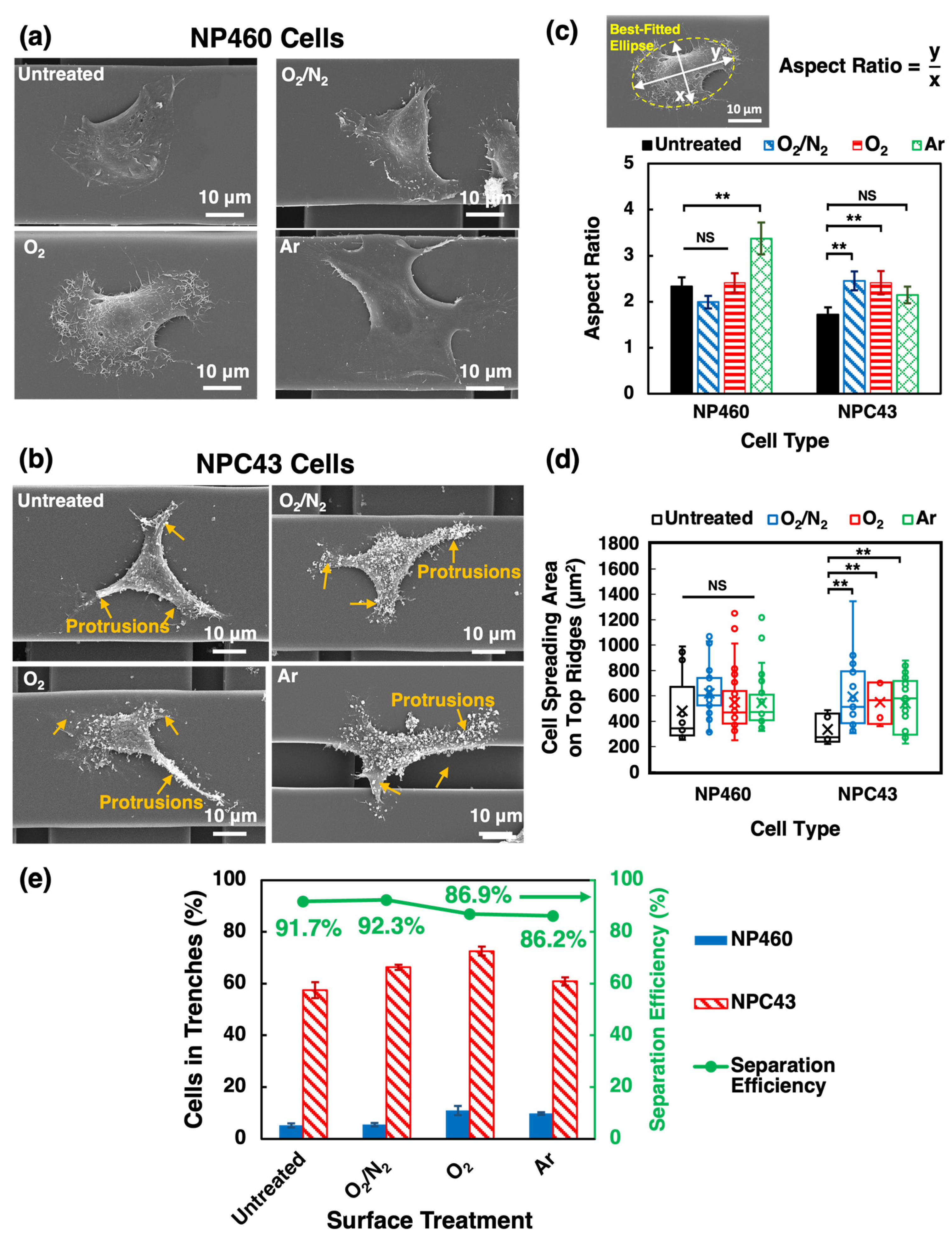 Ijms 24 12409 g003 Ijms 24 12409 g003