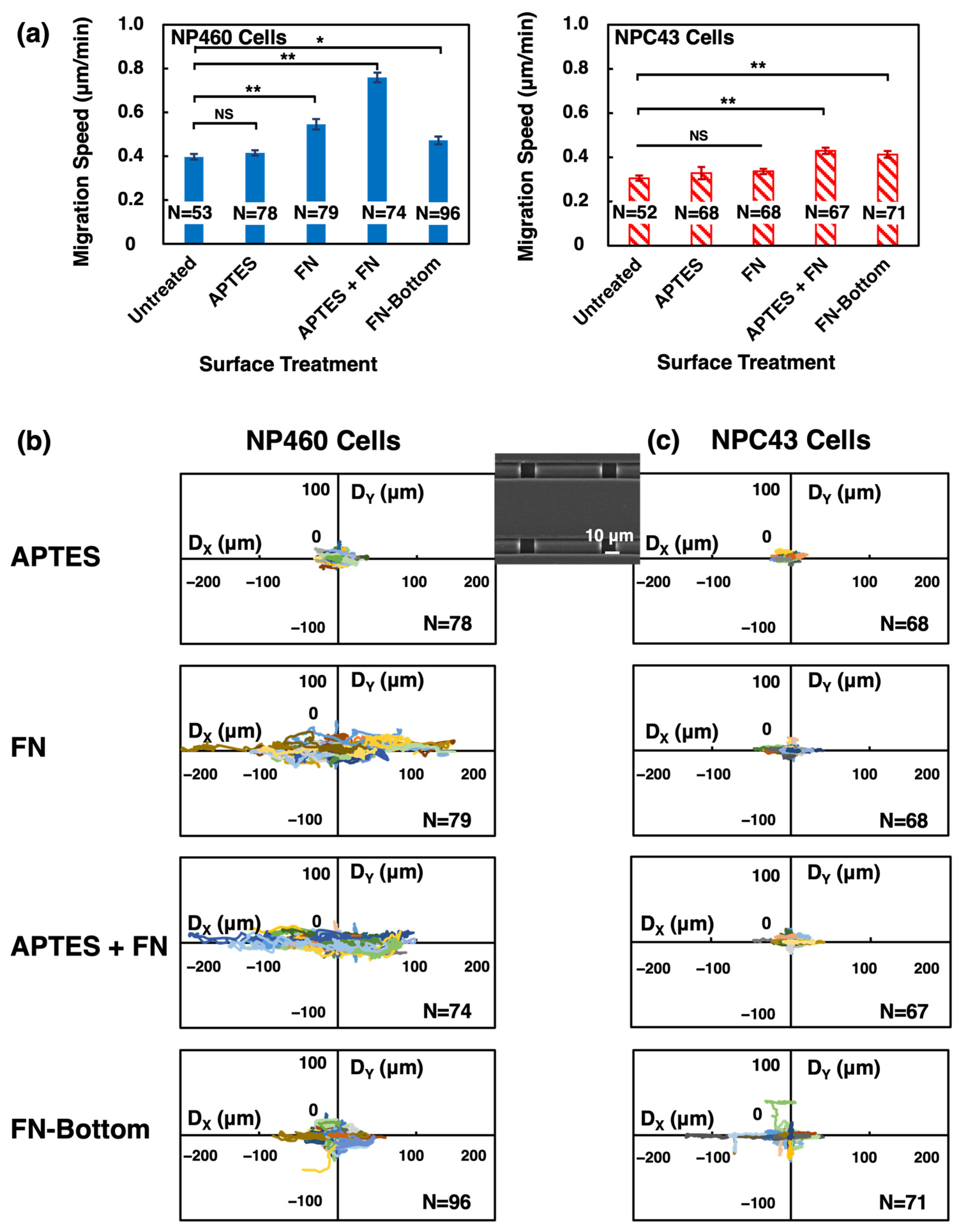 Ijms 24 12409 g004 Ijms 24 12409 g004