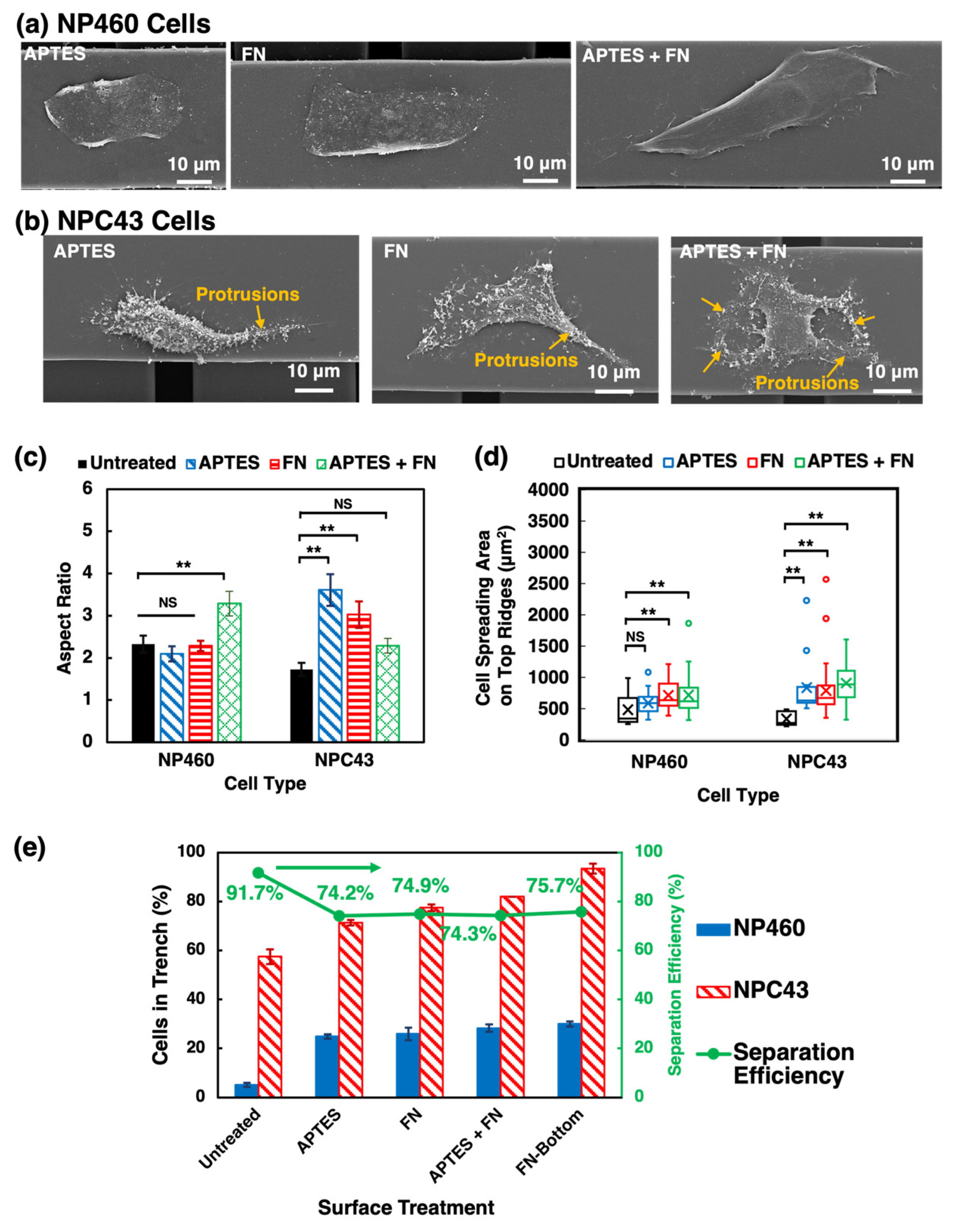 Ijms 24 12409 g005 Ijms 24 12409 g005