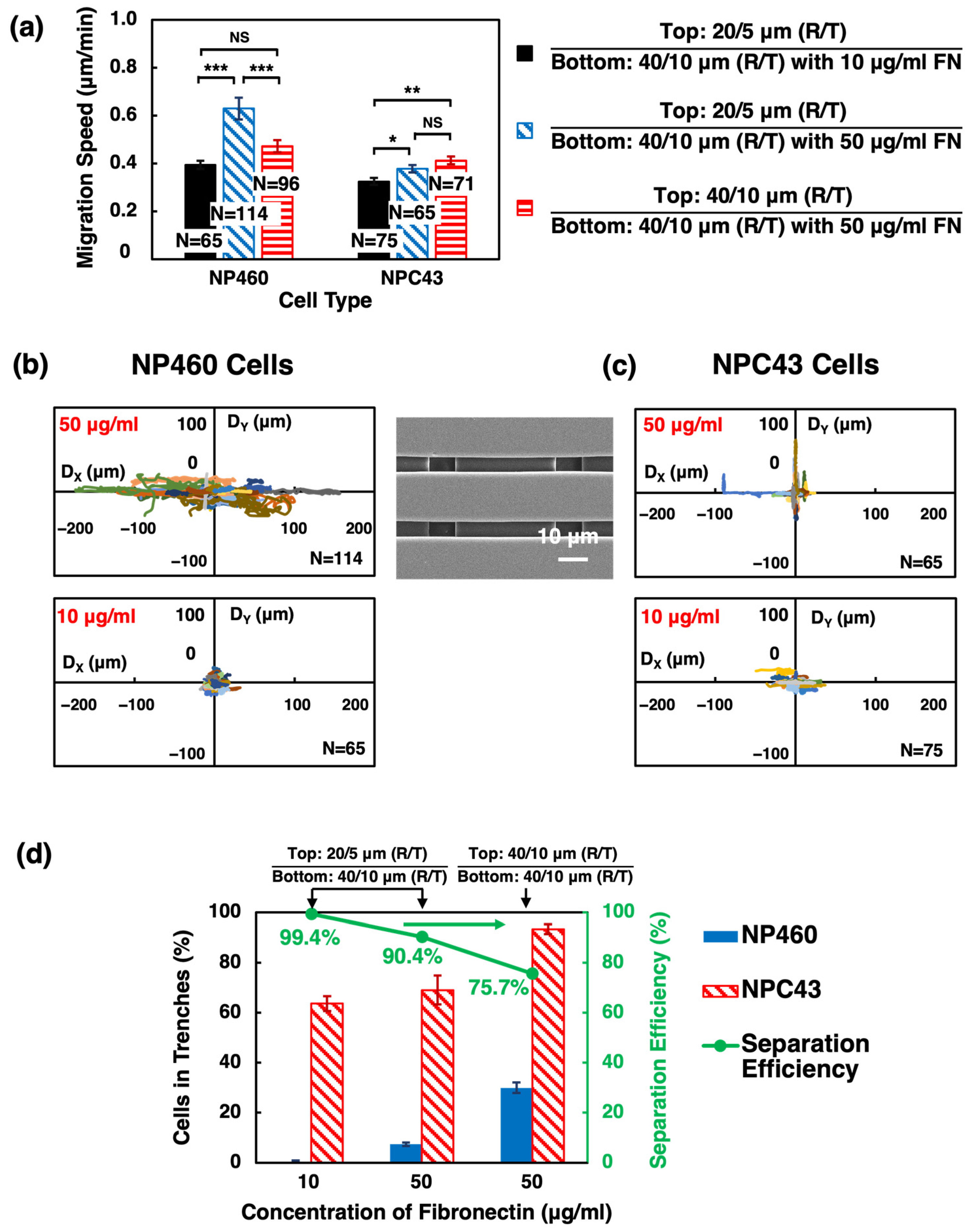 Ijms 24 12409 g006 Ijms 24 12409 g006