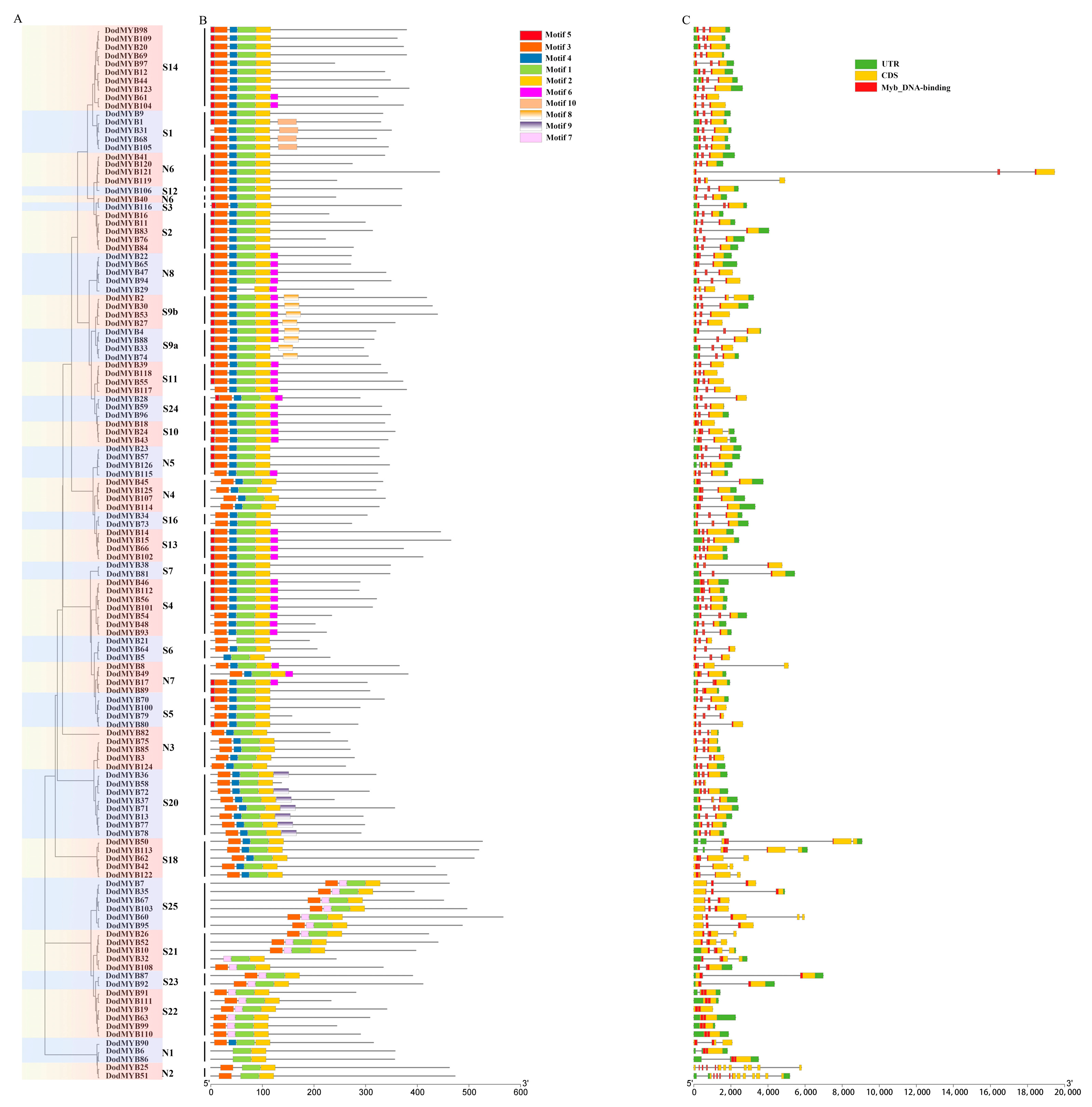 Ijms 24 12430 g002 Ijms 24 12430 g002