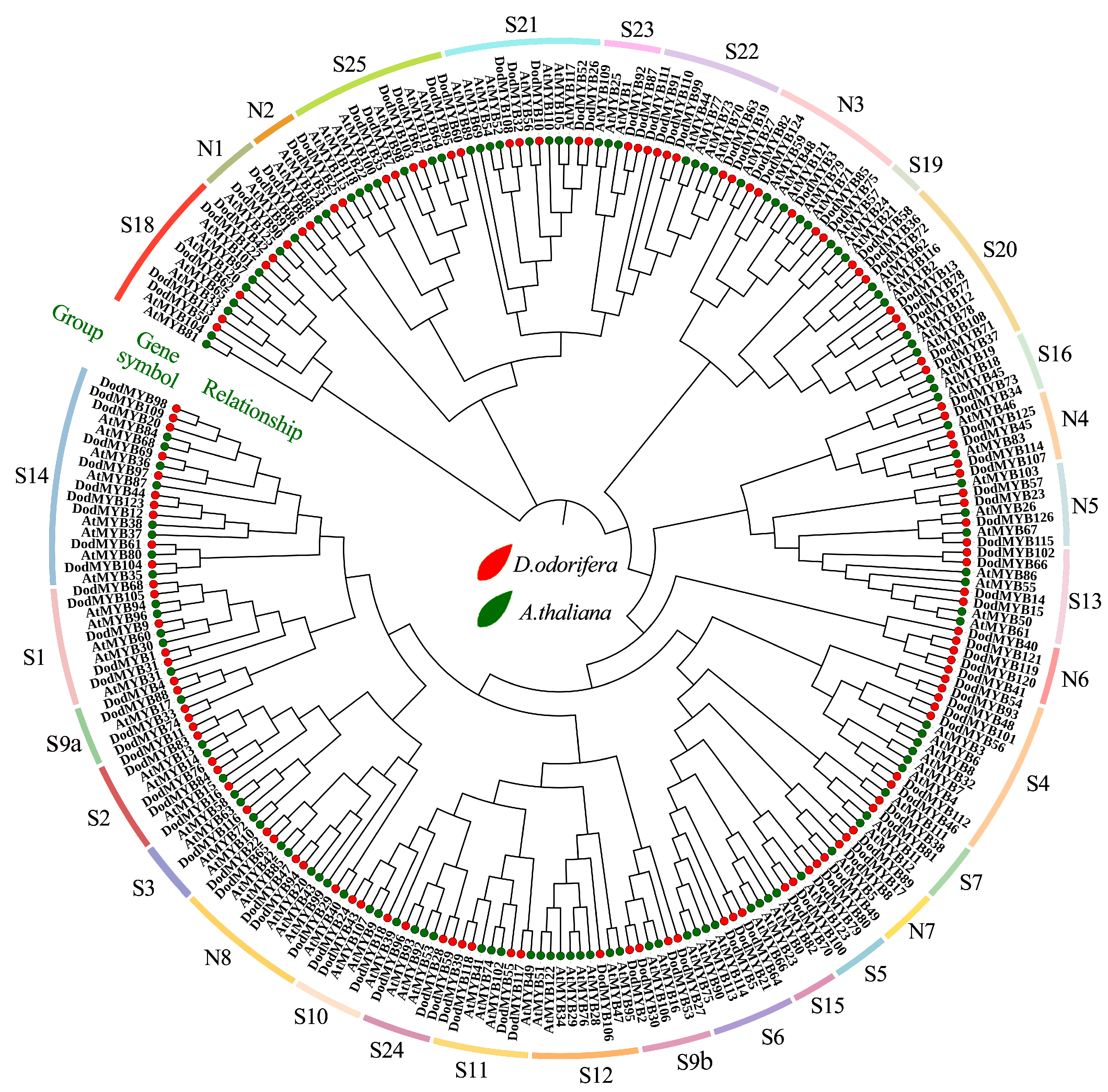 Ijms 24 12430 g004 Ijms 24 12430 g004