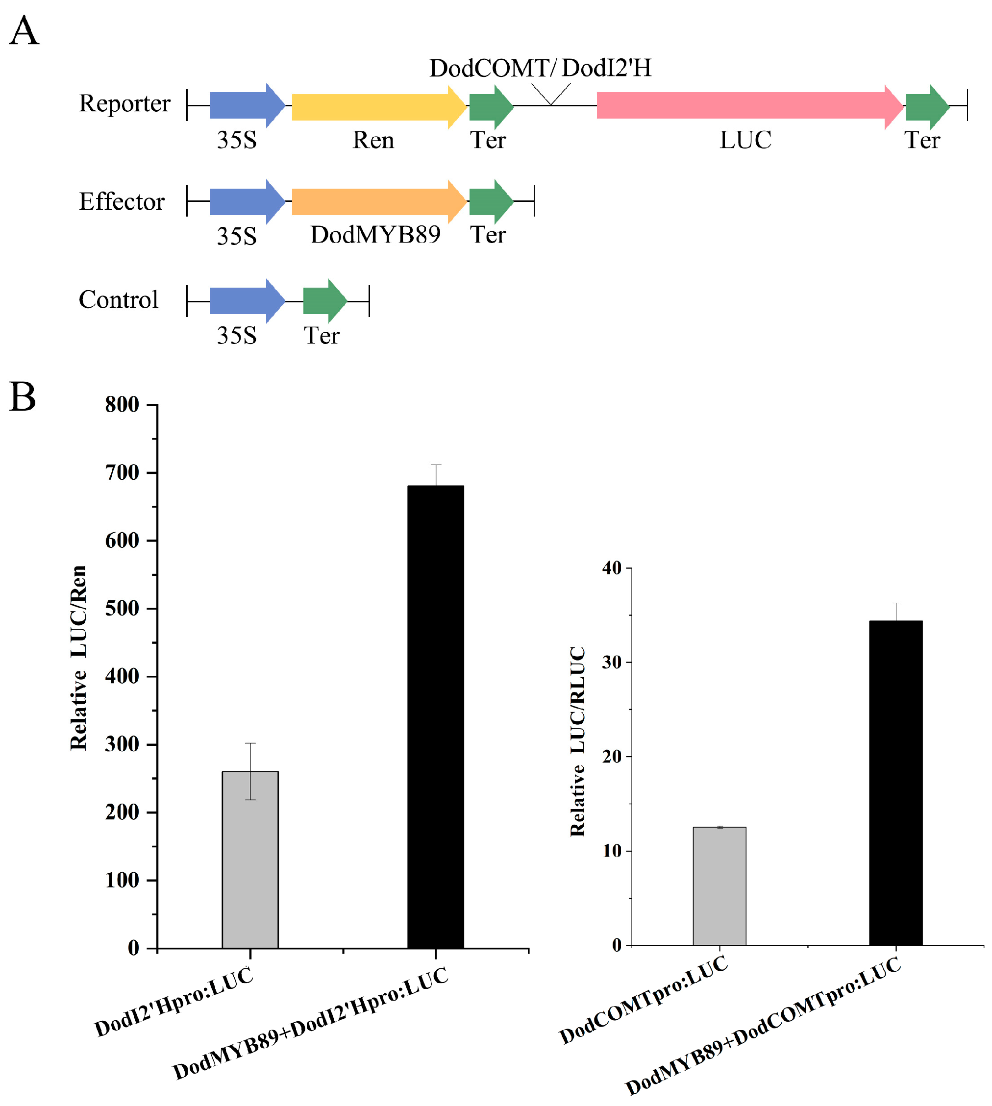 Ijms 24 12430 g008 Ijms 24 12430 g008