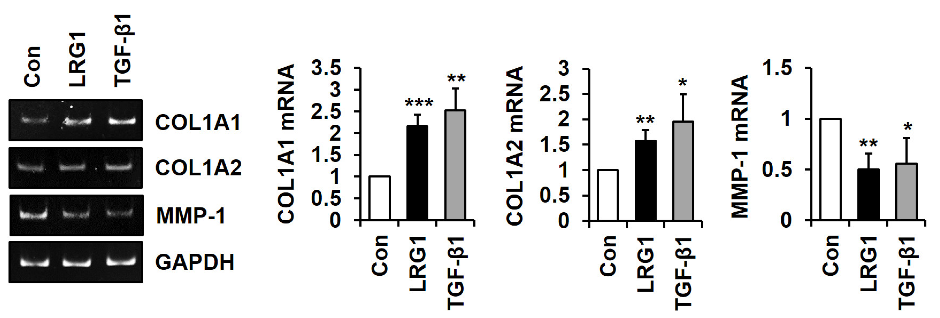 Ijms 24 12445 g002 Ijms 24 12445 g002
