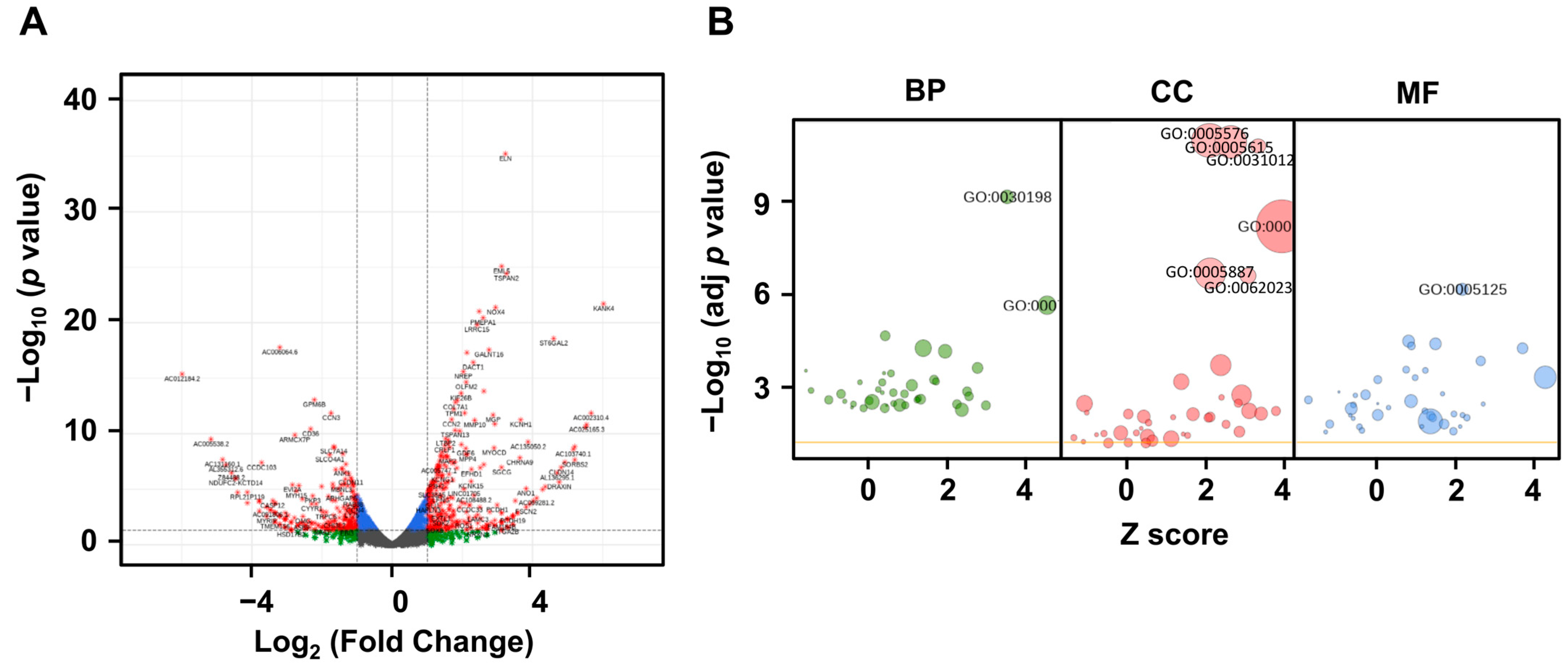 Ijms 24 12445 g005 Ijms 24 12445 g005