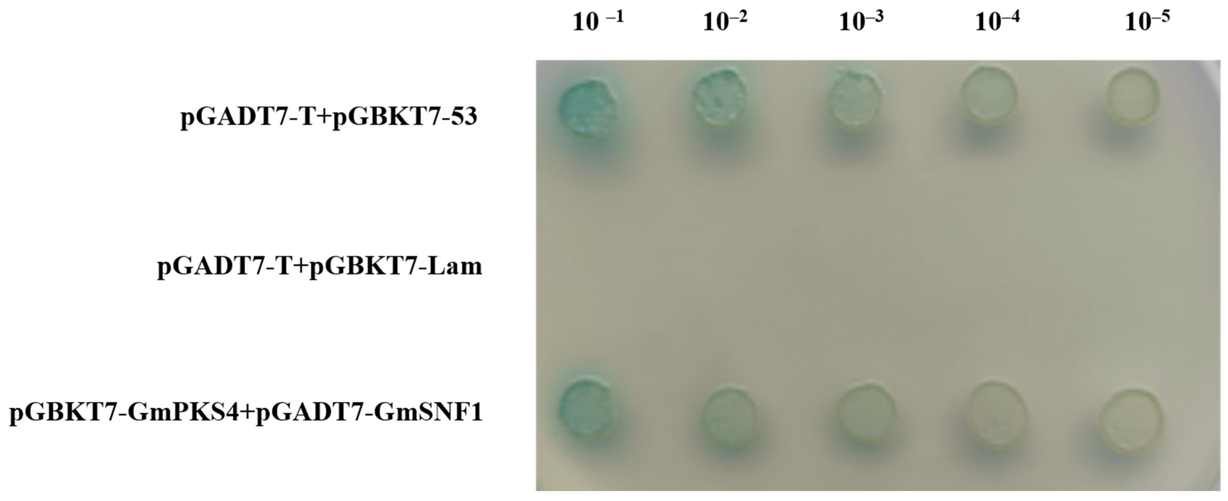 Ijms 24 12482 g001 Ijms 24 12482 g001