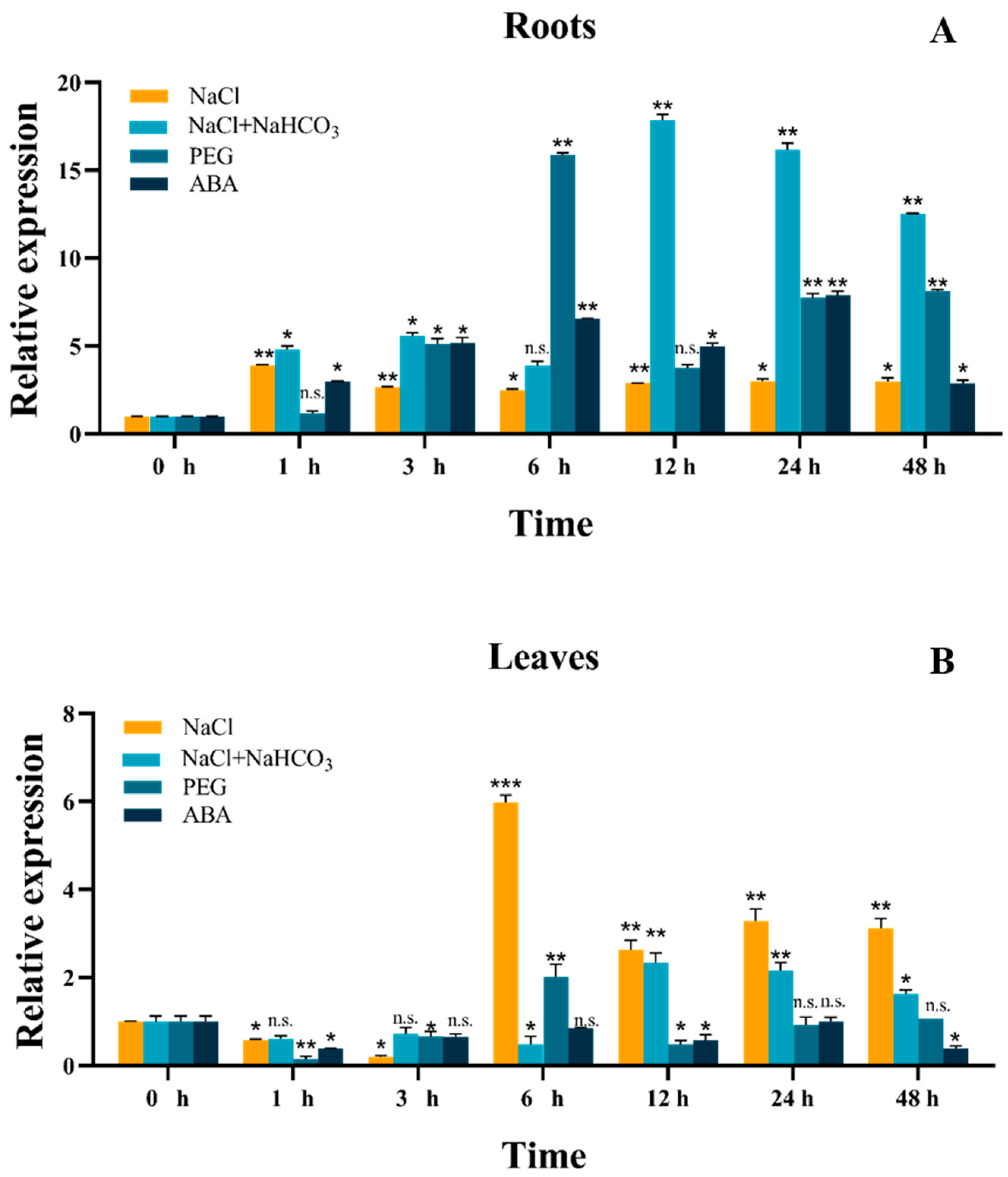 Ijms 24 12482 g003 Ijms 24 12482 g003