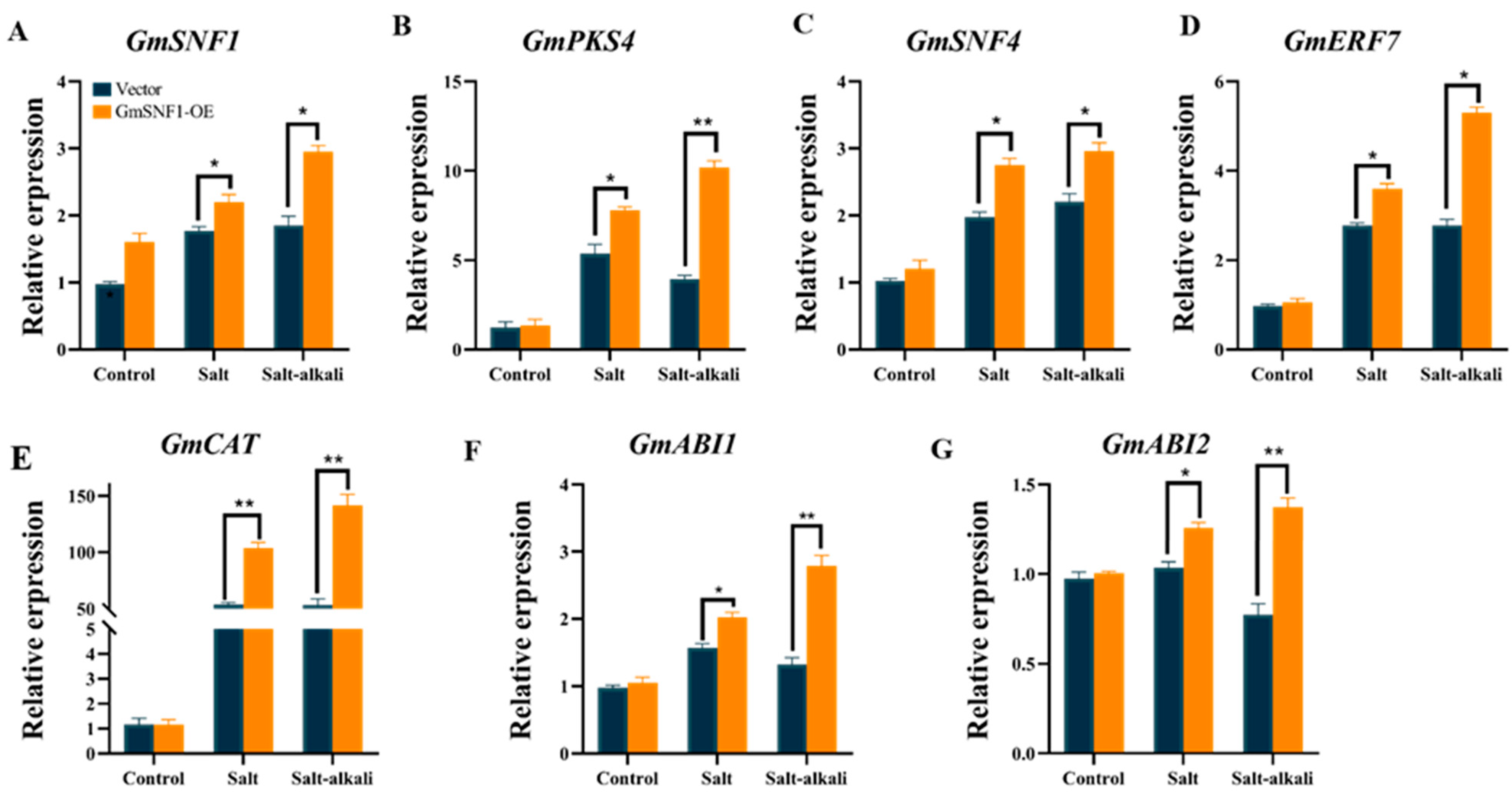 Ijms 24 12482 g008 Ijms 24 12482 g008