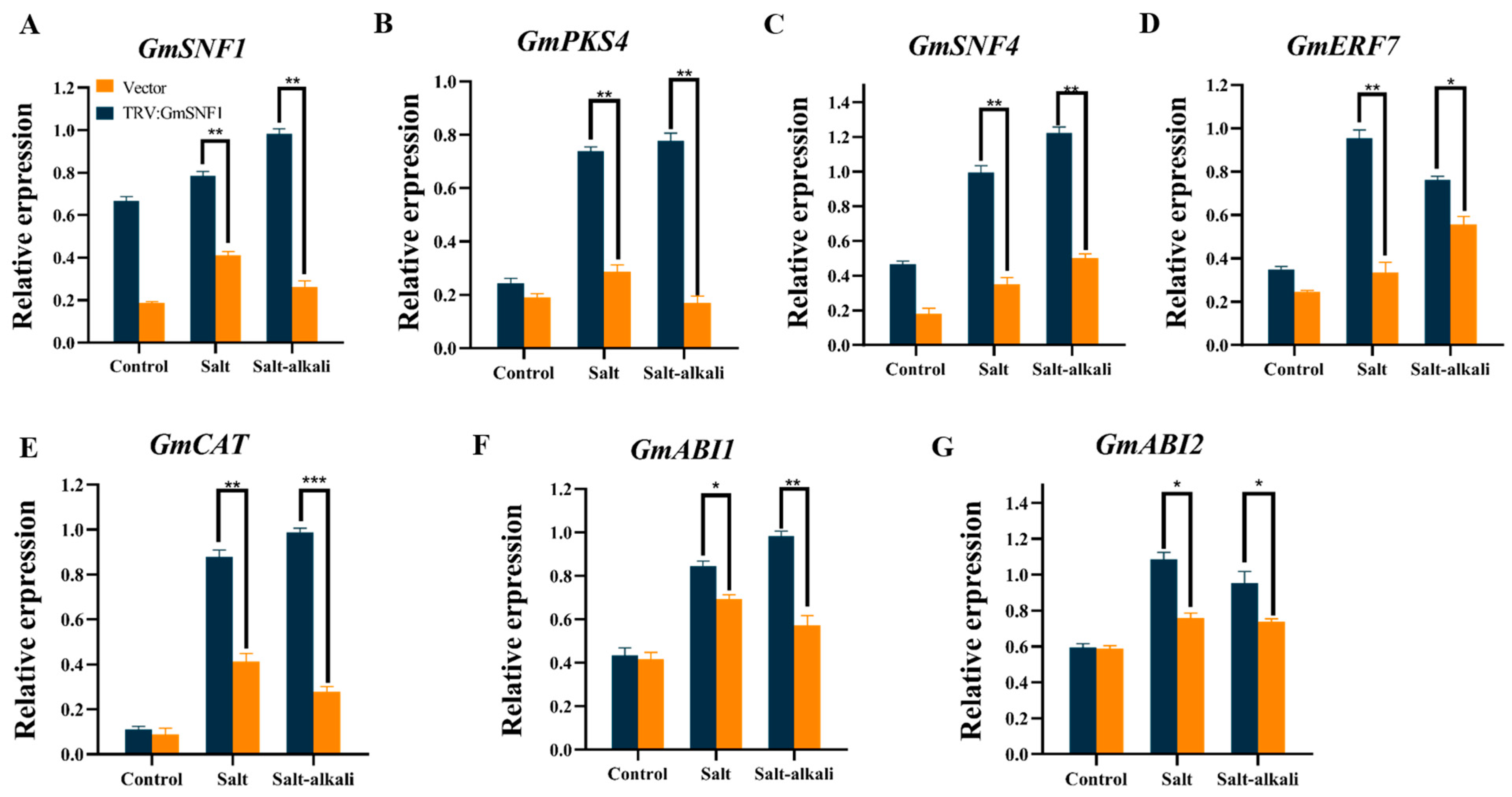 Ijms 24 12482 g010 Ijms 24 12482 g010