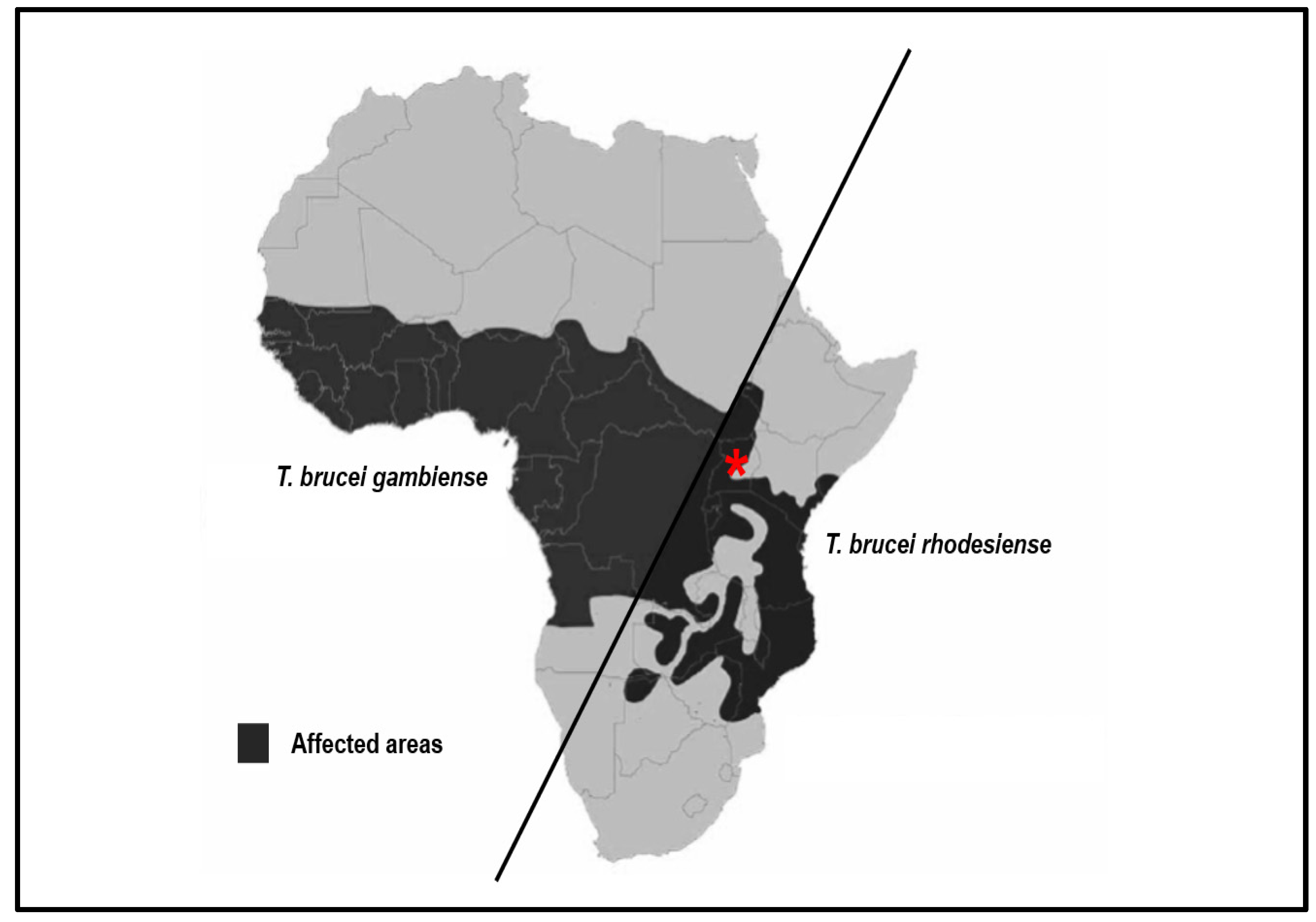 Ijms 24 12529 g001 Ijms 24 12529 g001