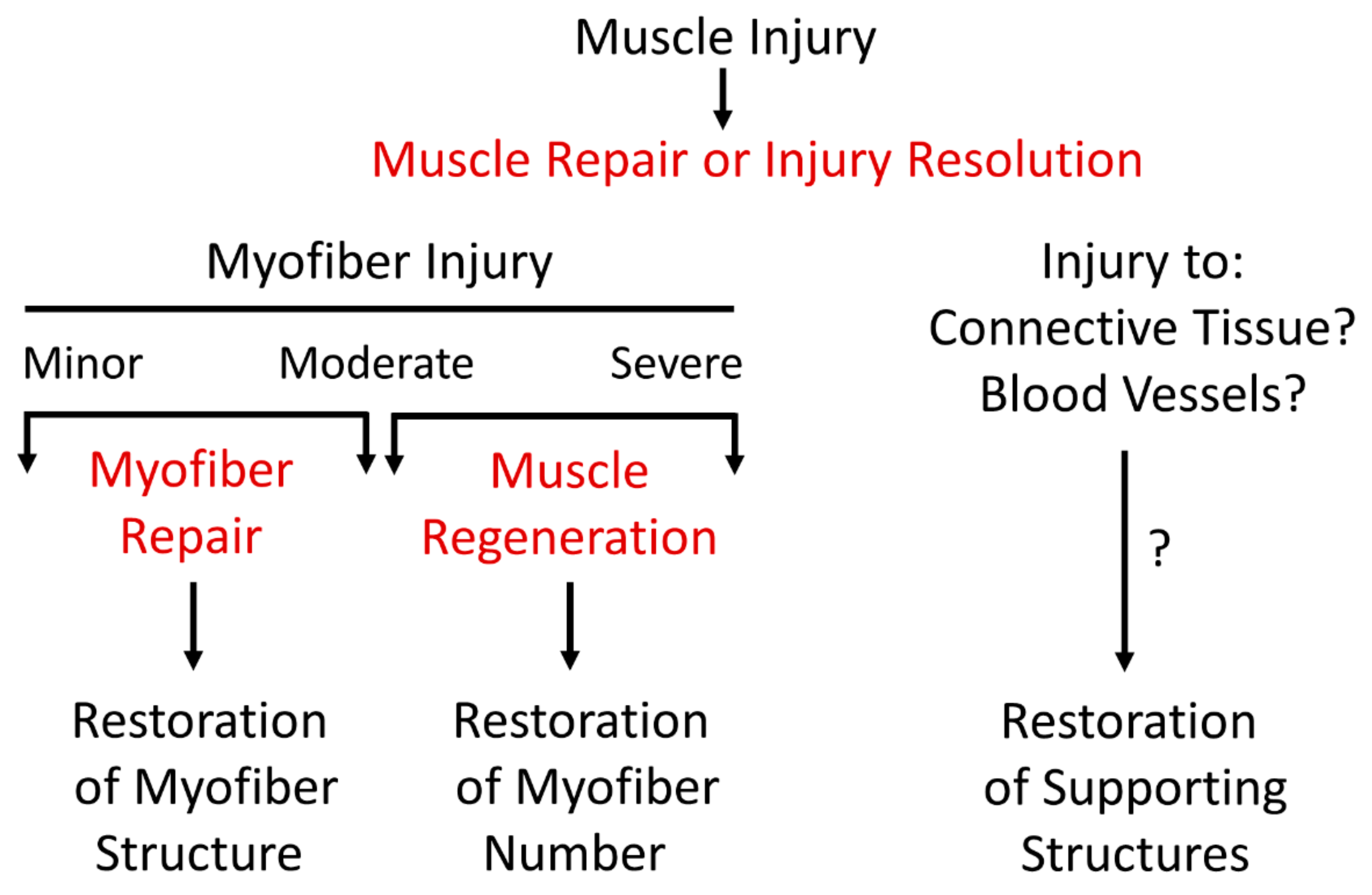 Ijms 24 12545 g001 Ijms 24 12545 g001