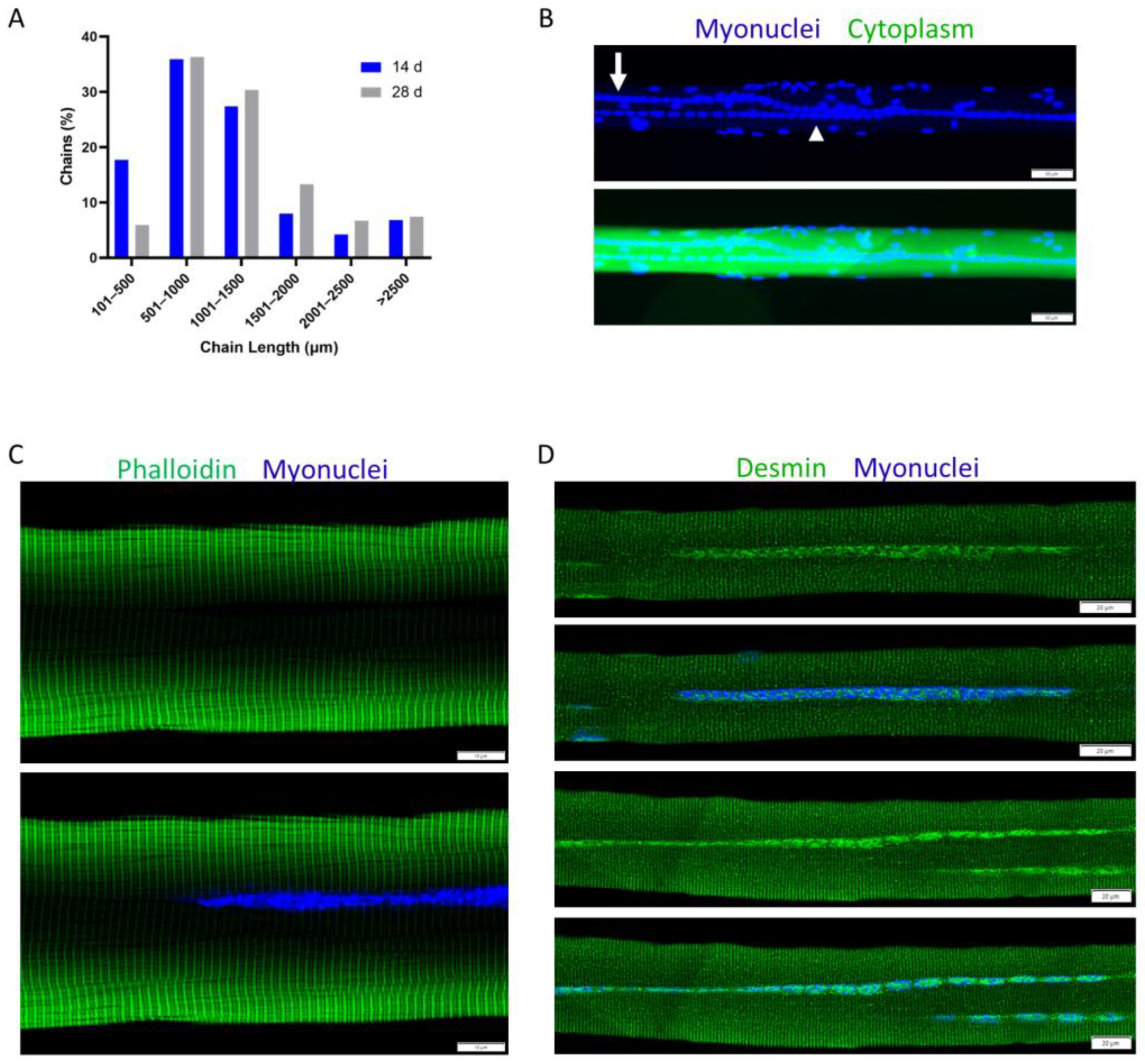 Ijms 24 12545 g004 Ijms 24 12545 g004