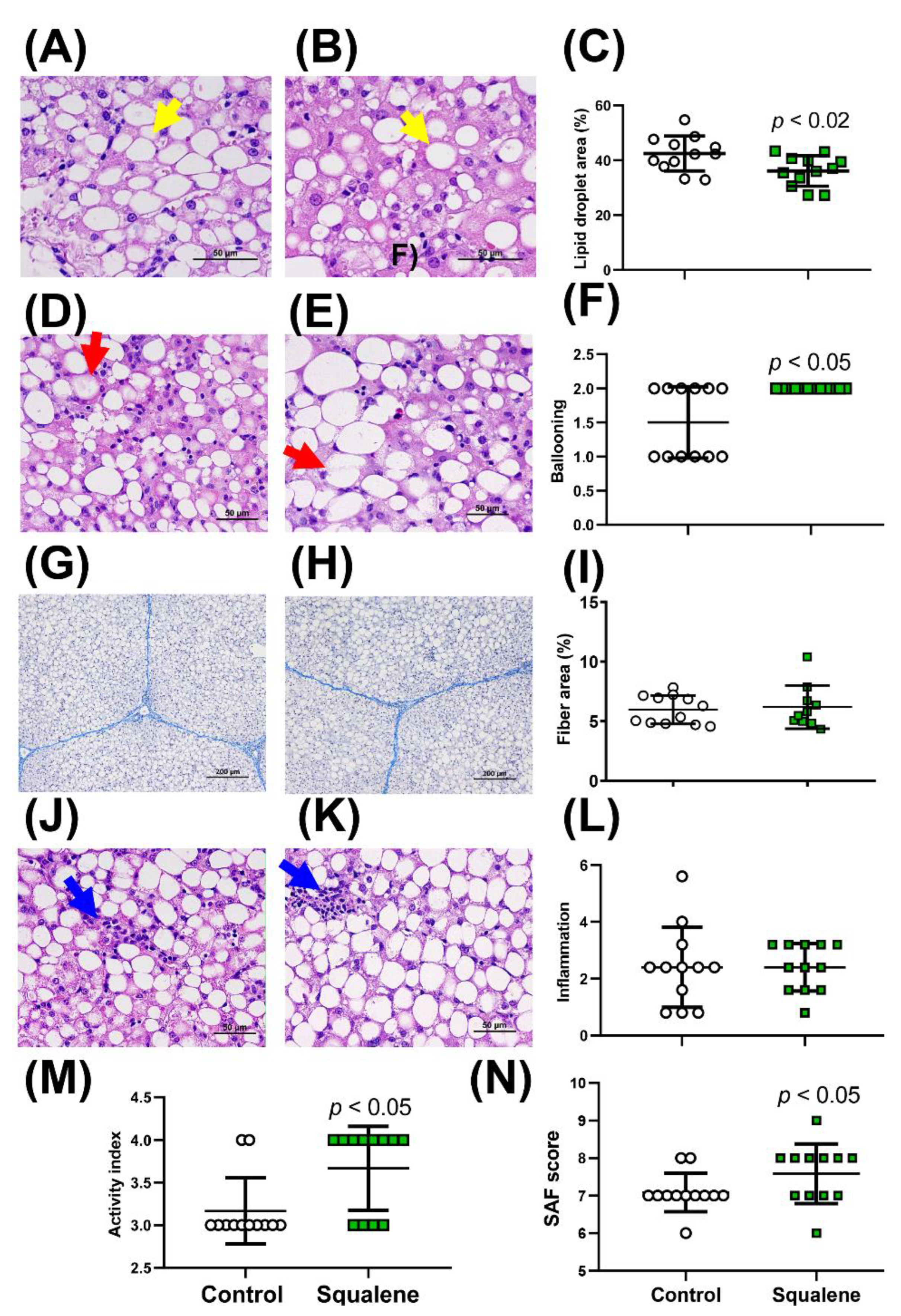 Ijms 24 12552 g001 Ijms 24 12552 g001