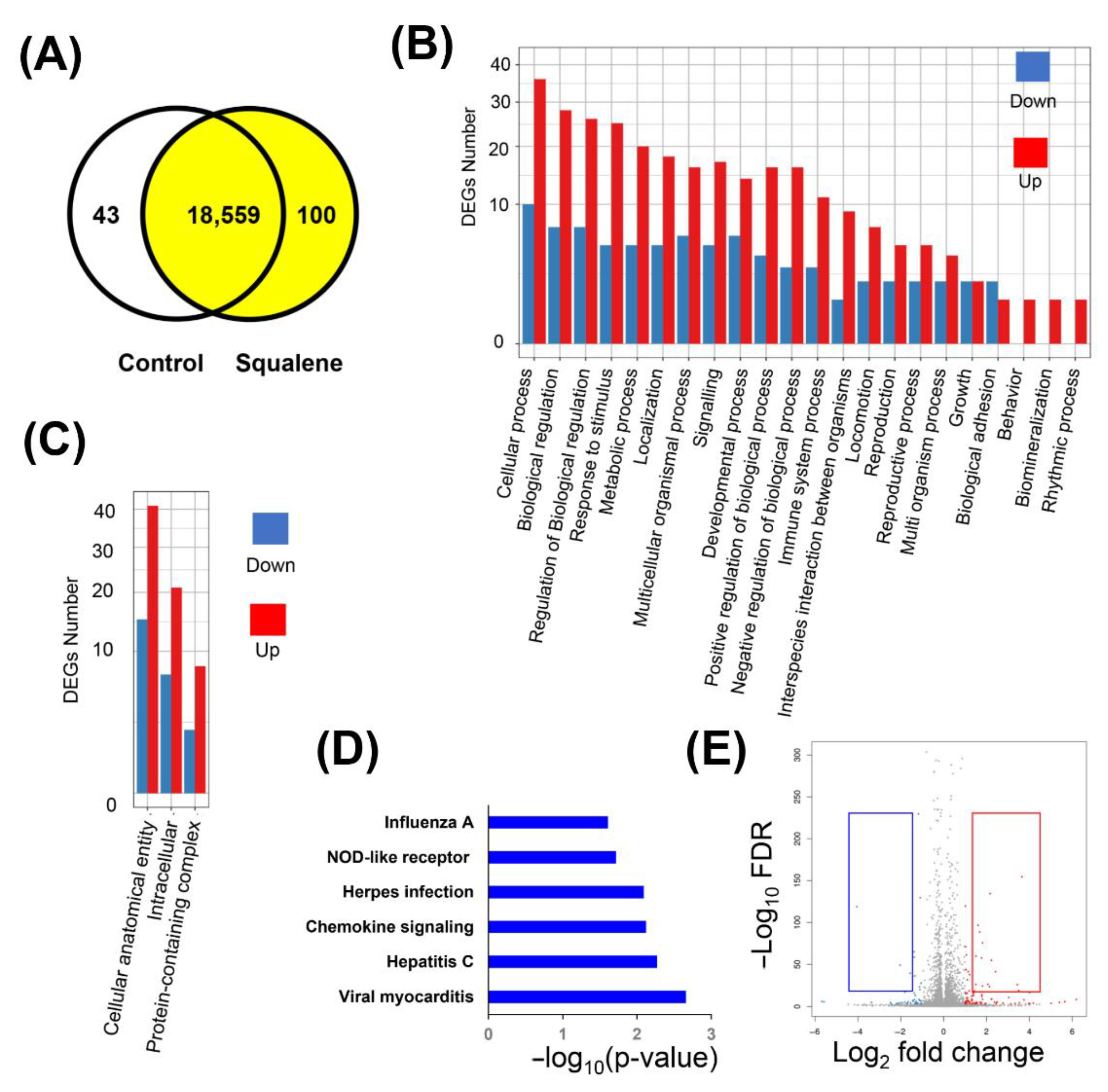 Ijms 24 12552 g002 Ijms 24 12552 g002