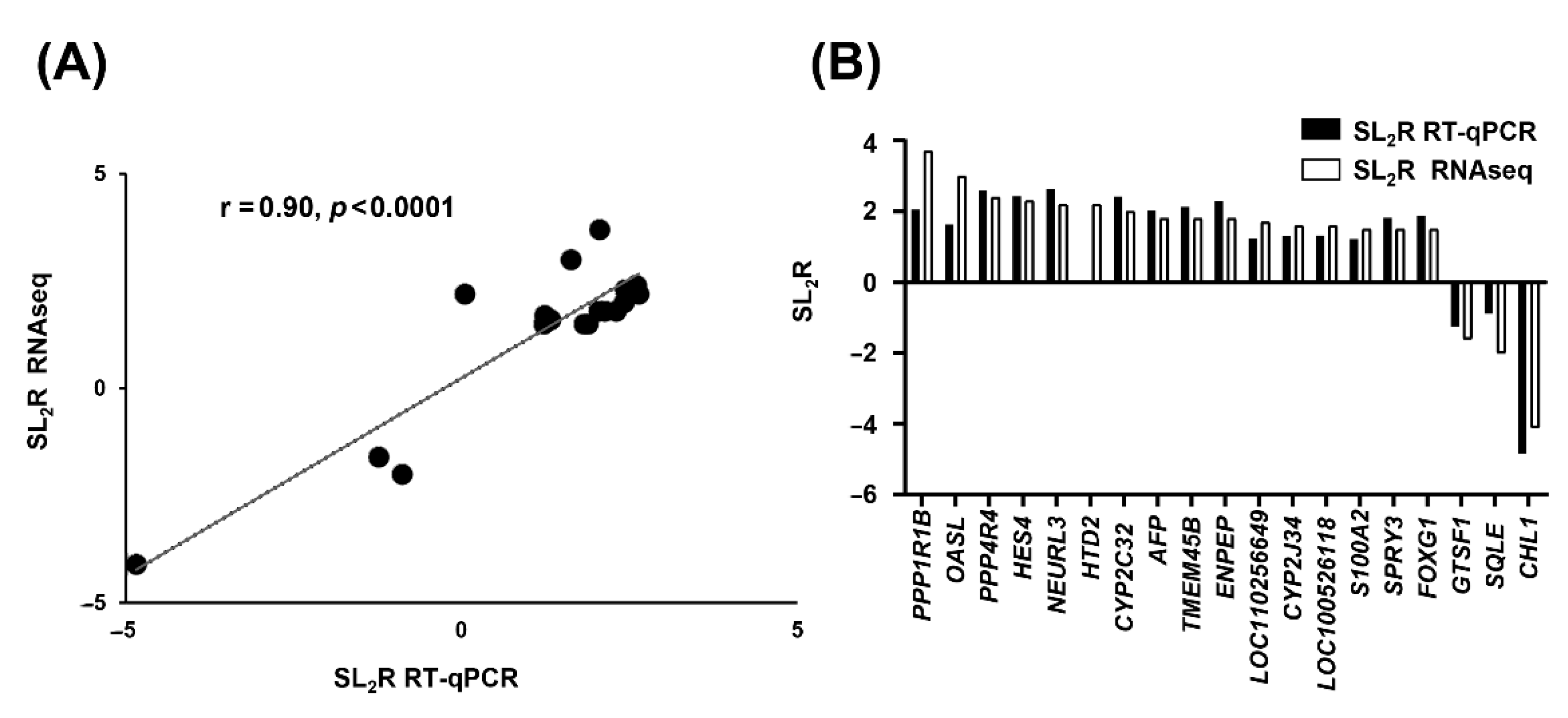 Ijms 24 12552 g003 Ijms 24 12552 g003