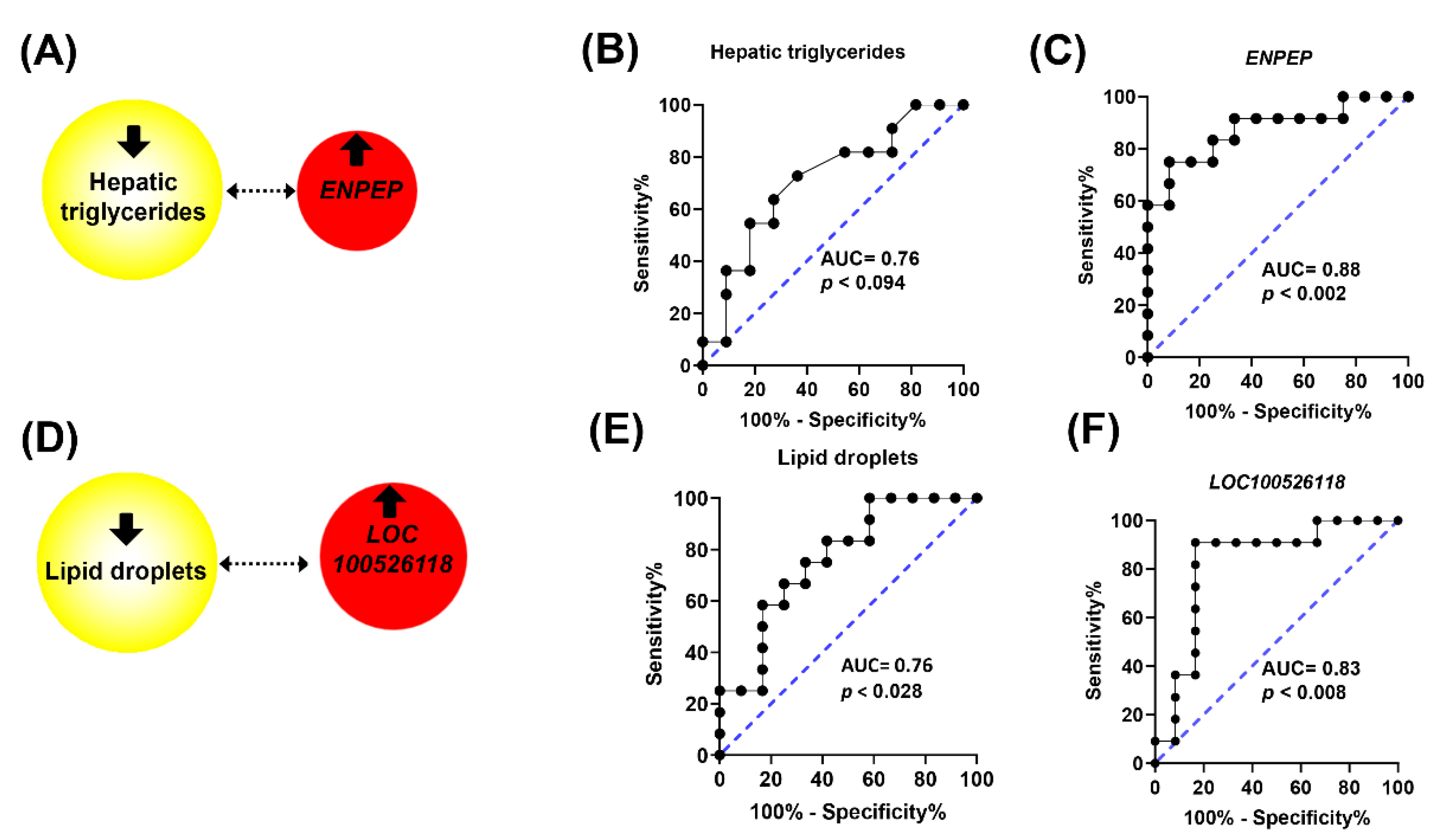 Ijms 24 12552 g005 Ijms 24 12552 g005