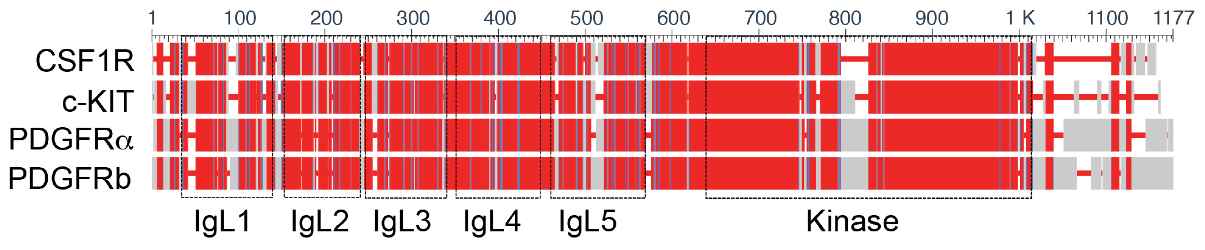 Ijms 24 12653 g002 Ijms 24 12653 g002