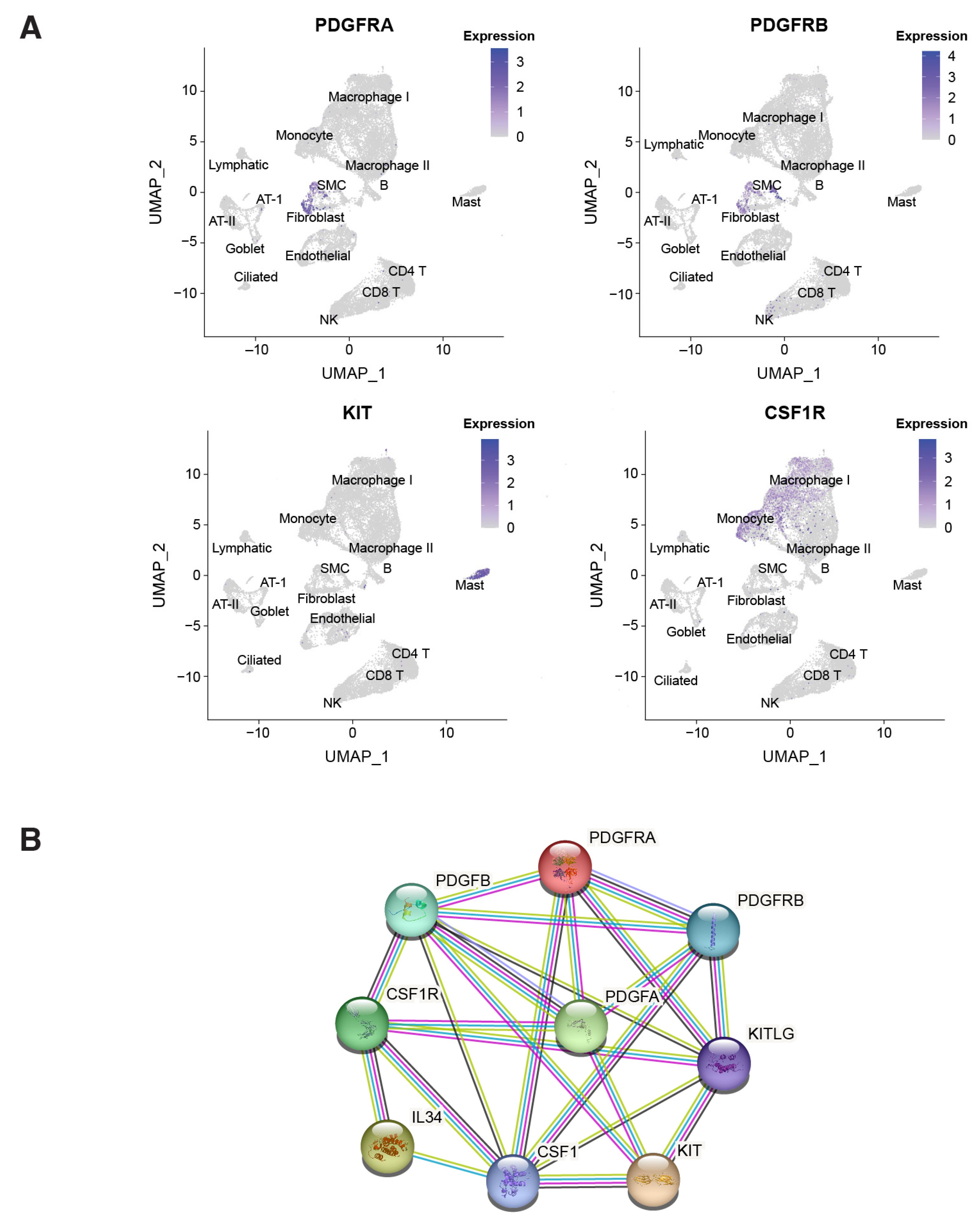 Ijms 24 12653 g005 Ijms 24 12653 g005