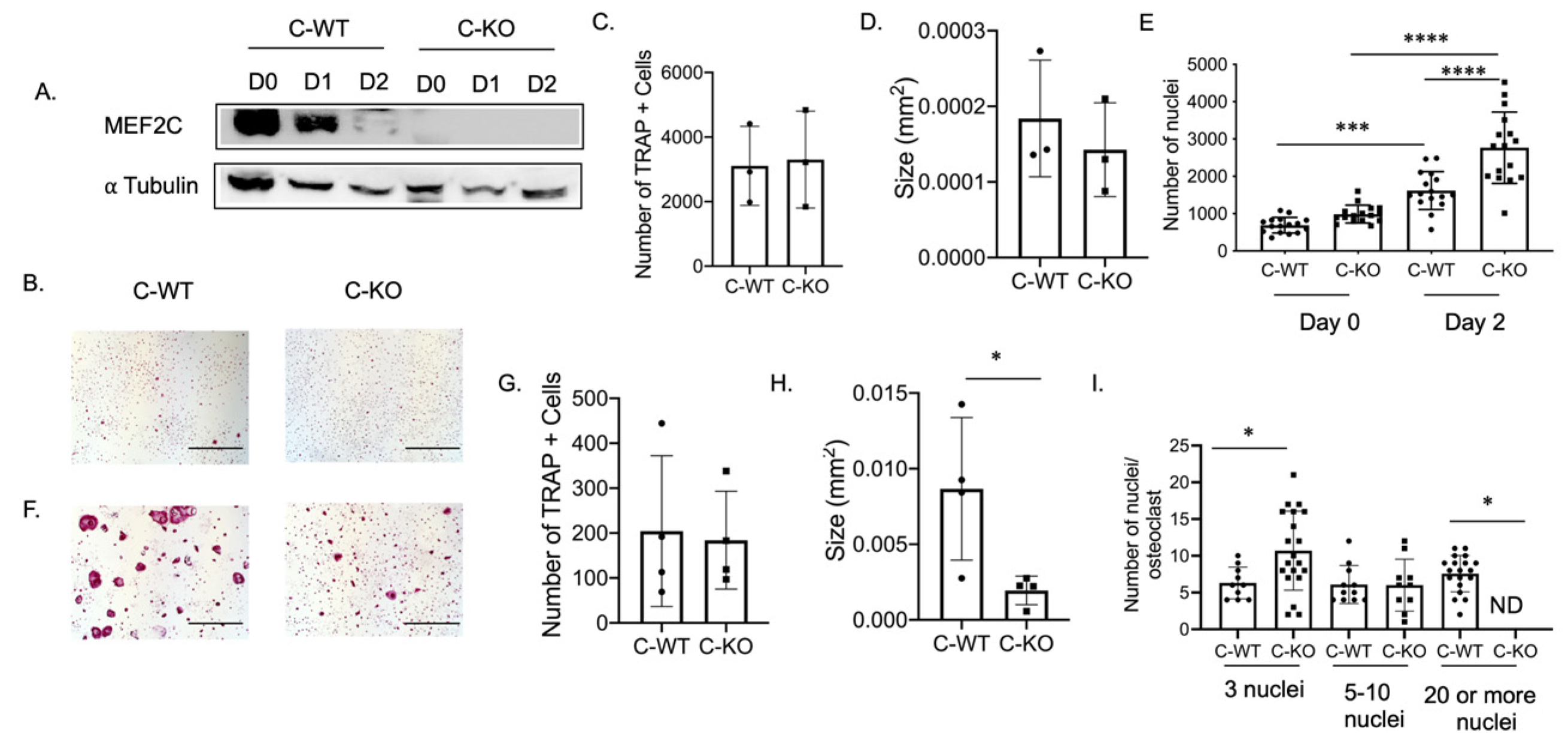 Ijms 24 12686 g002 Ijms 24 12686 g002