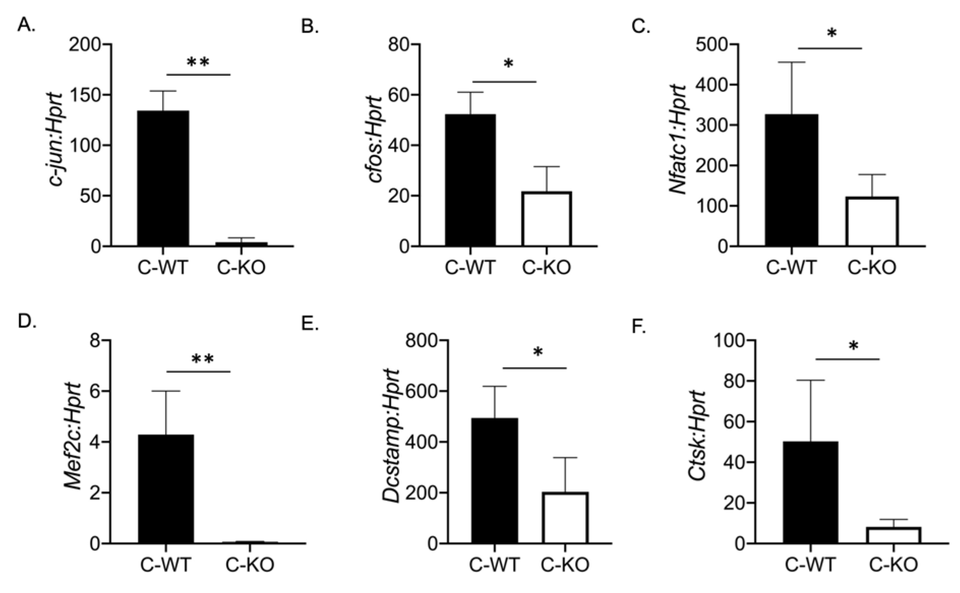 Ijms 24 12686 g003 Ijms 24 12686 g003