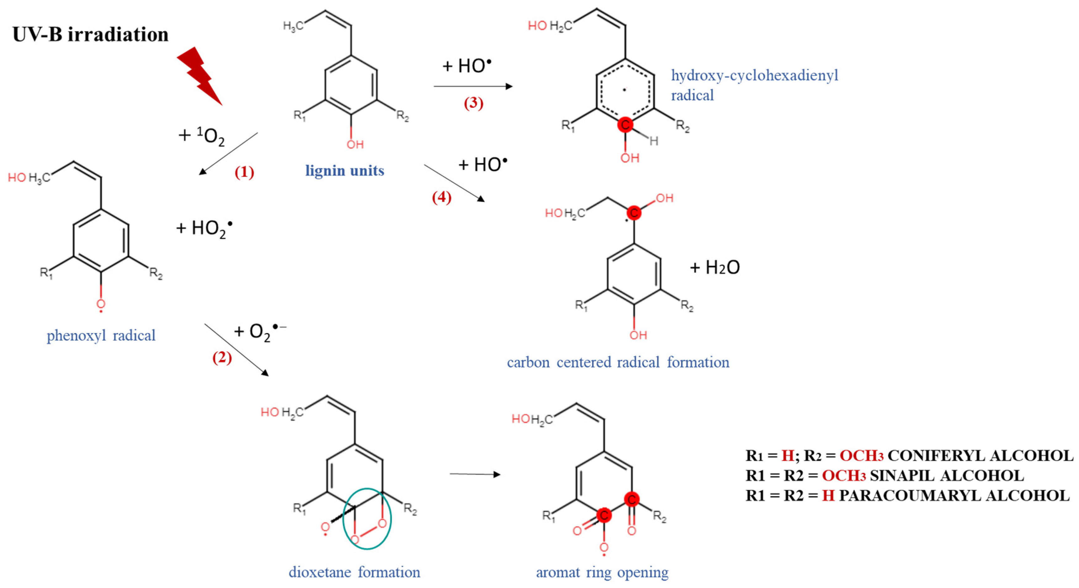 Ijms 24 12705 sch002