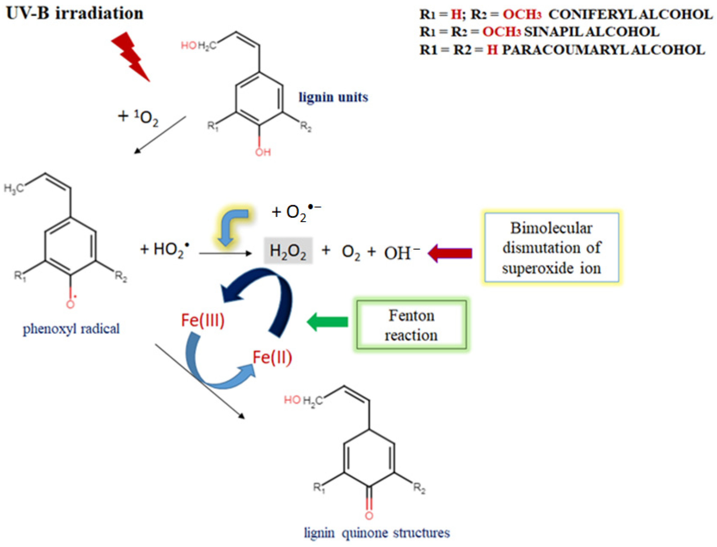 Ijms 24 12705 sch003