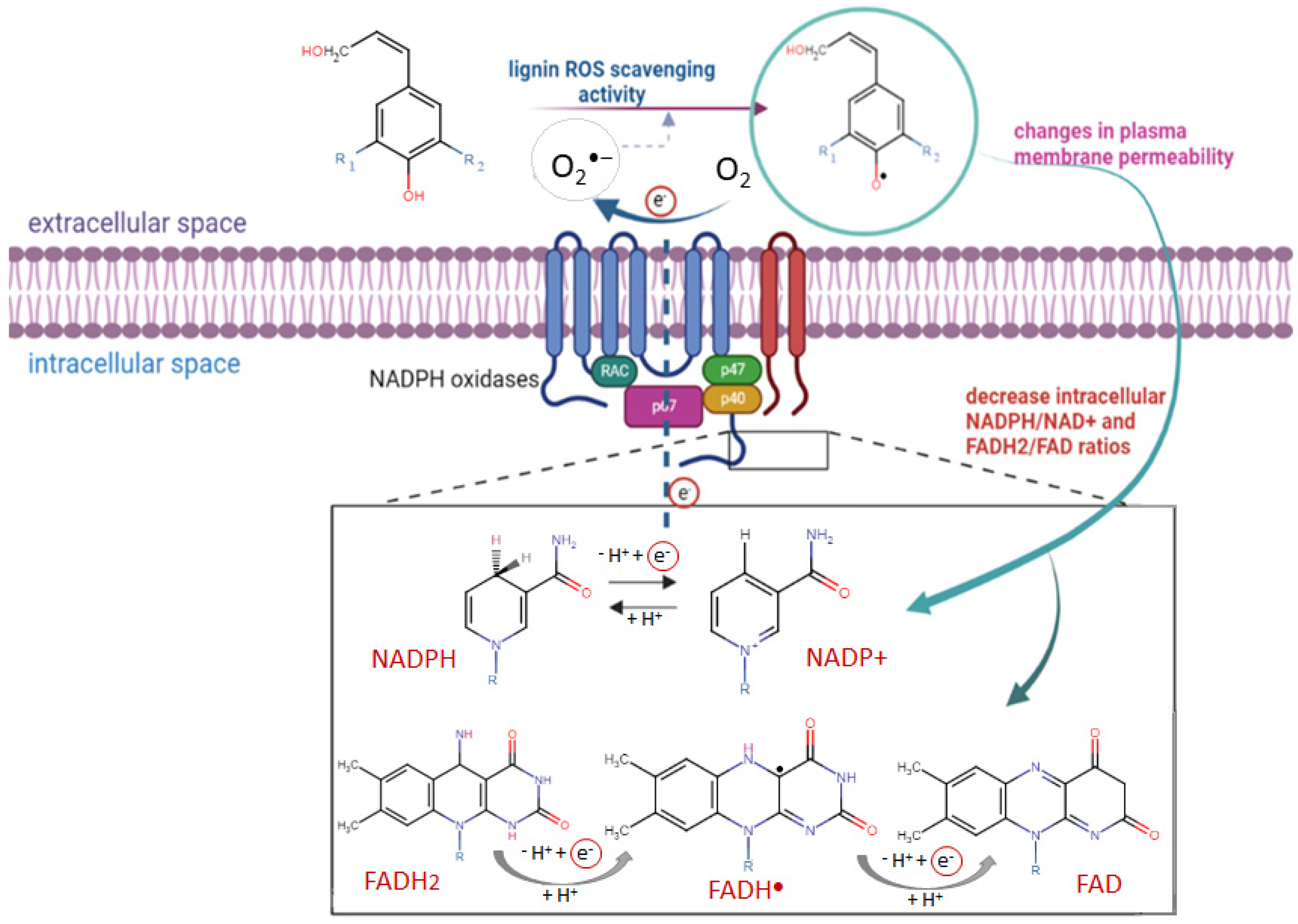 Ijms 24 12705 sch004
