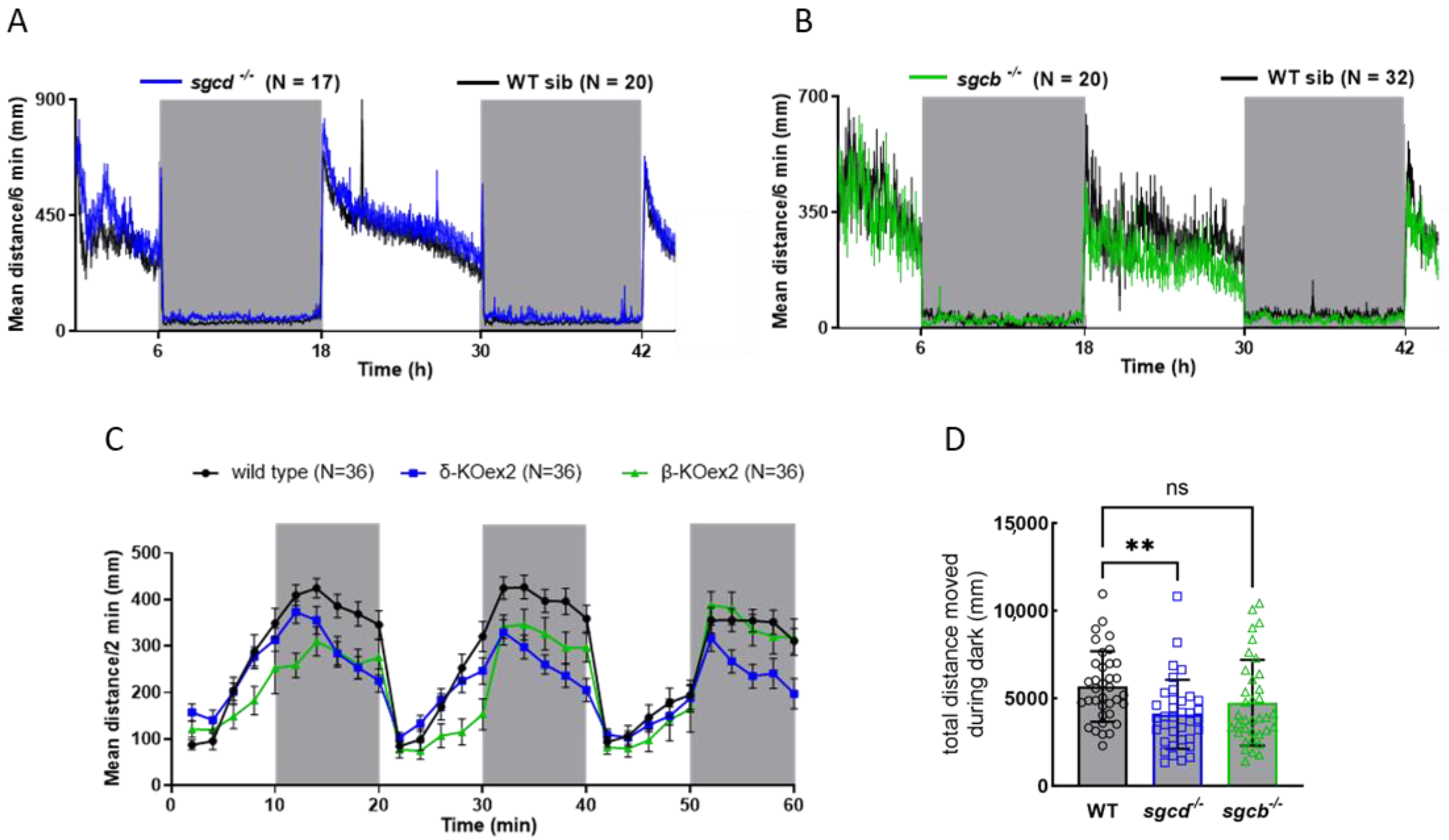 Ijms 24 12707 g002 Ijms 24 12707 g002