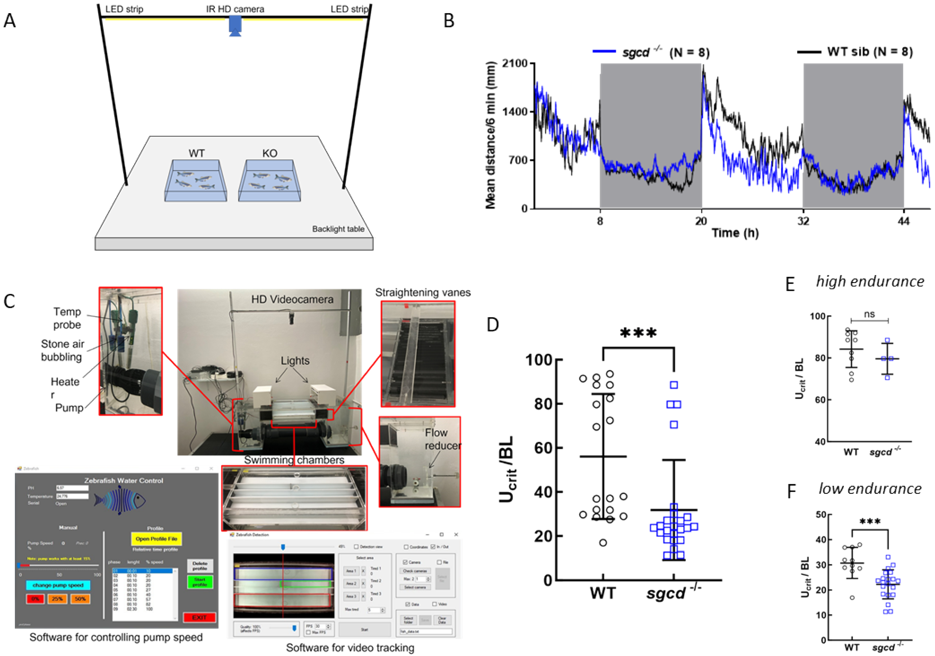 Ijms 24 12707 g006 Ijms 24 12707 g006