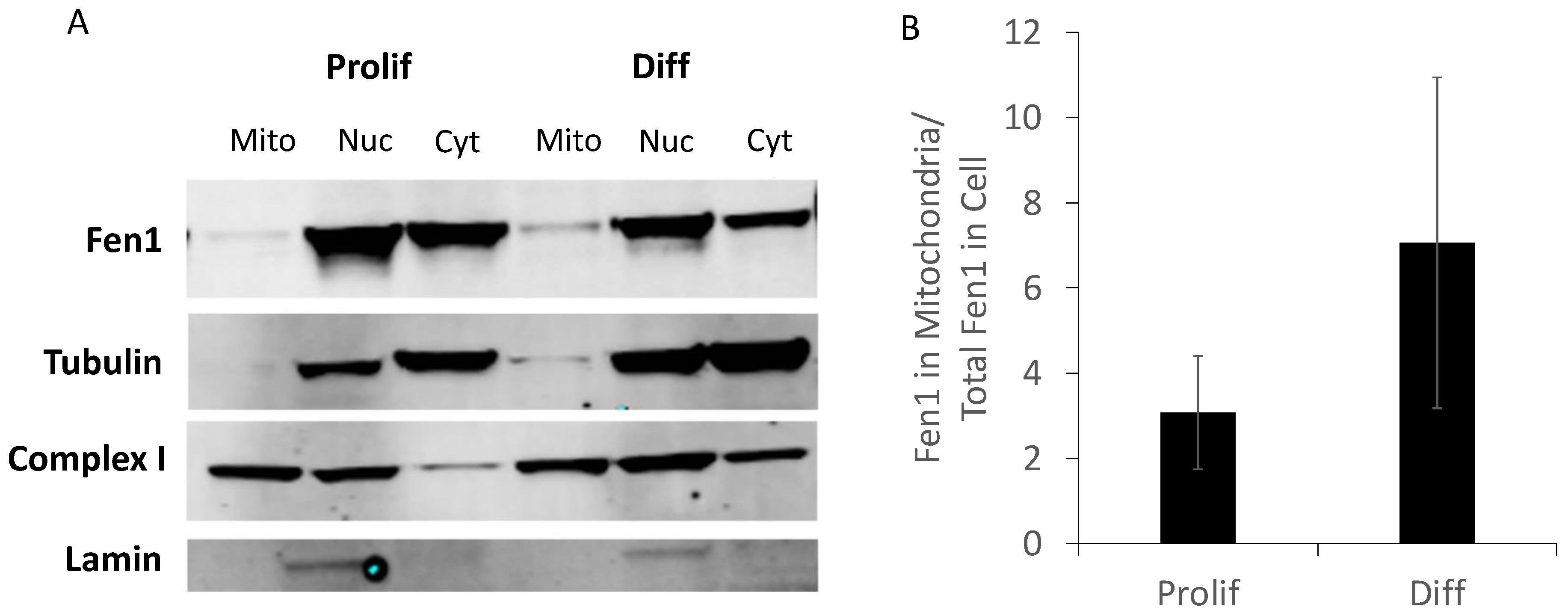 Ijms 24 12715 g002 Ijms 24 12715 g002