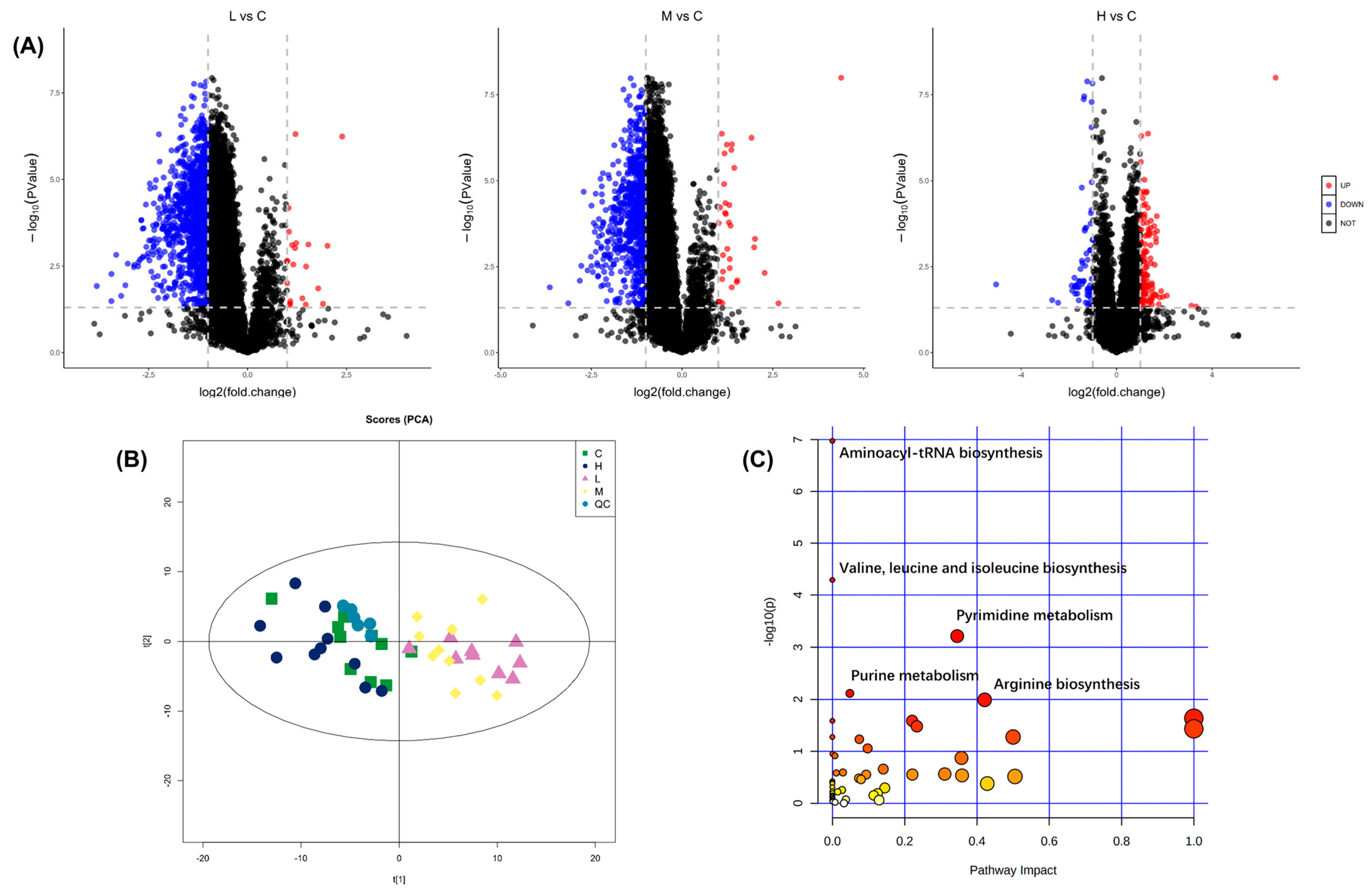 Ijms 24 12726 g001 Ijms 24 12726 g001