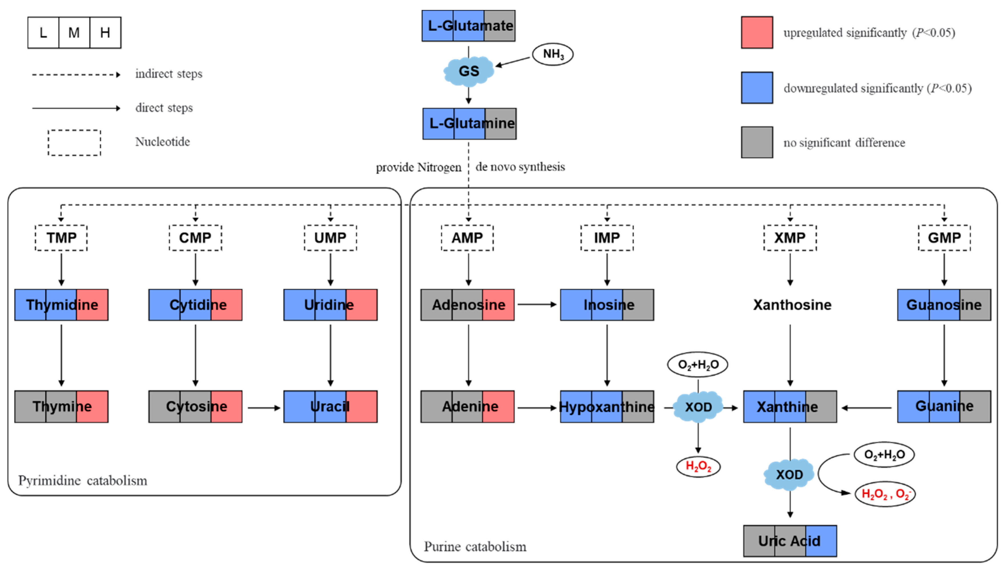 Ijms 24 12726 g003 Ijms 24 12726 g003