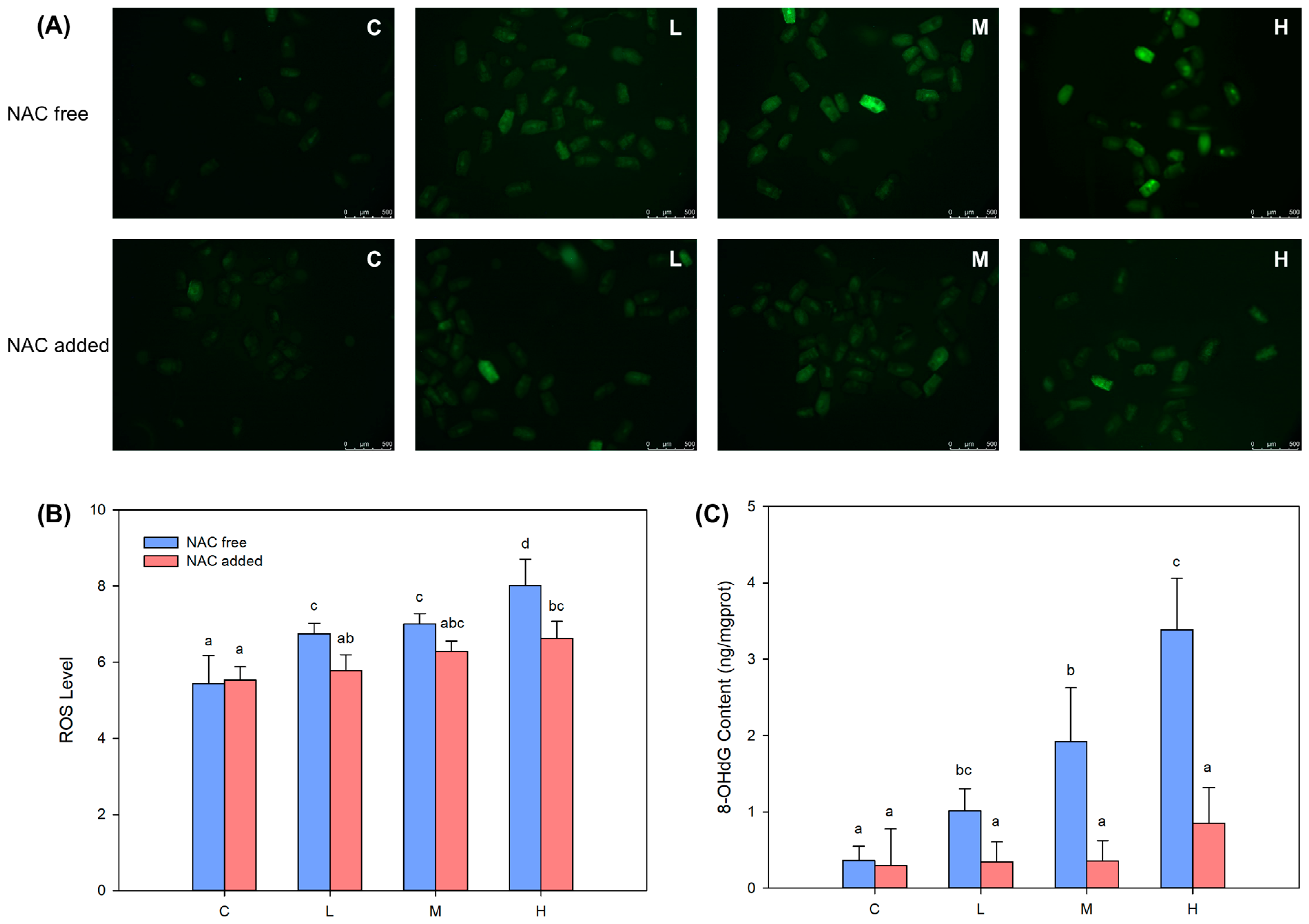 Ijms 24 12726 g005 Ijms 24 12726 g005