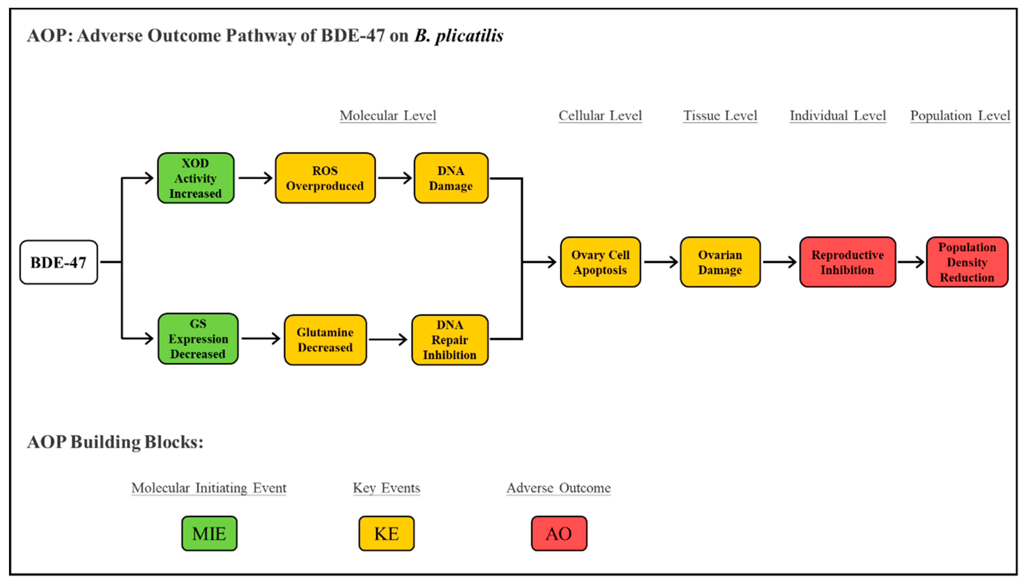 Ijms 24 12726 g007 Ijms 24 12726 g007